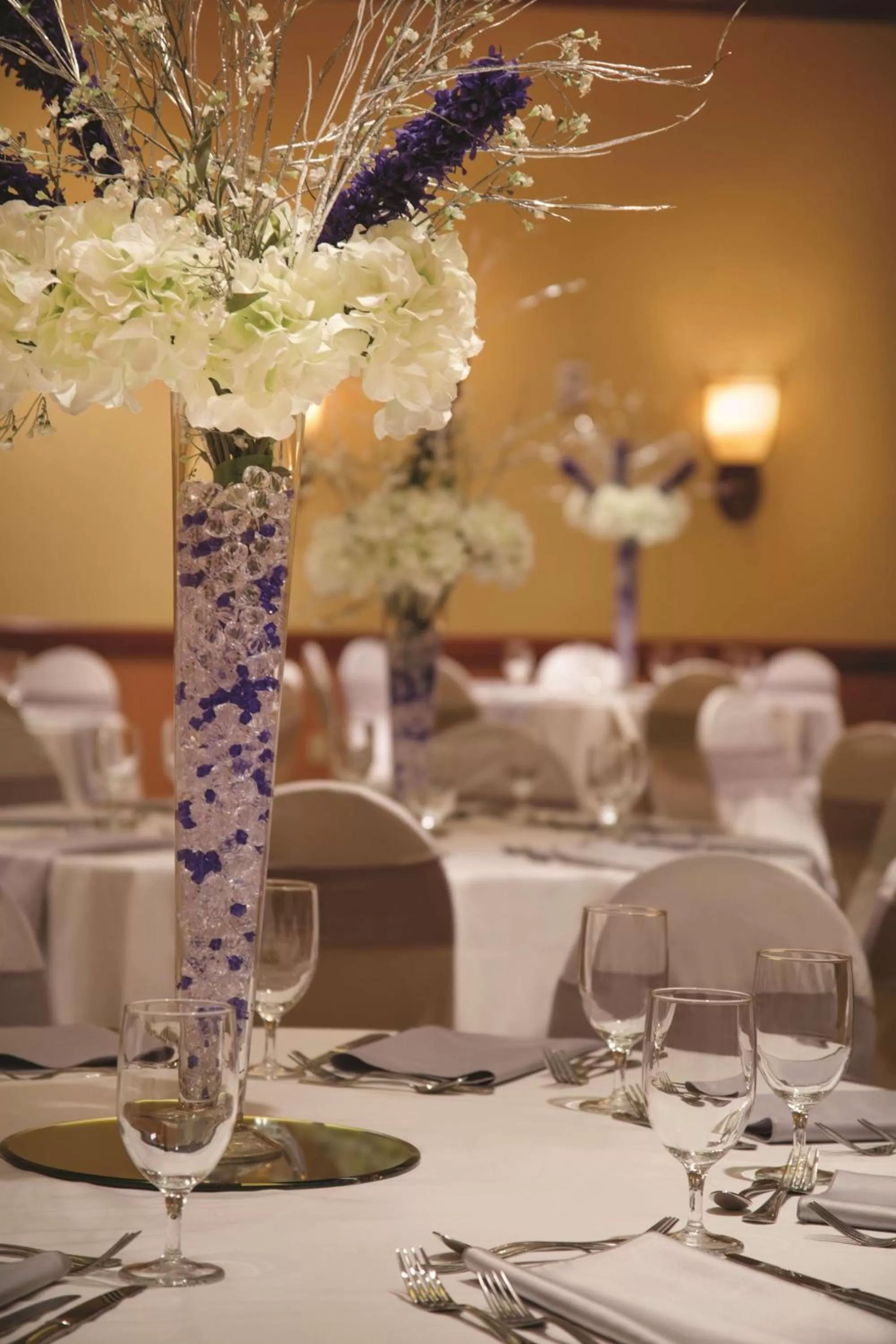 Meeting/conference room in Embassy Suites by Hilton Saint Louis Saint Charles