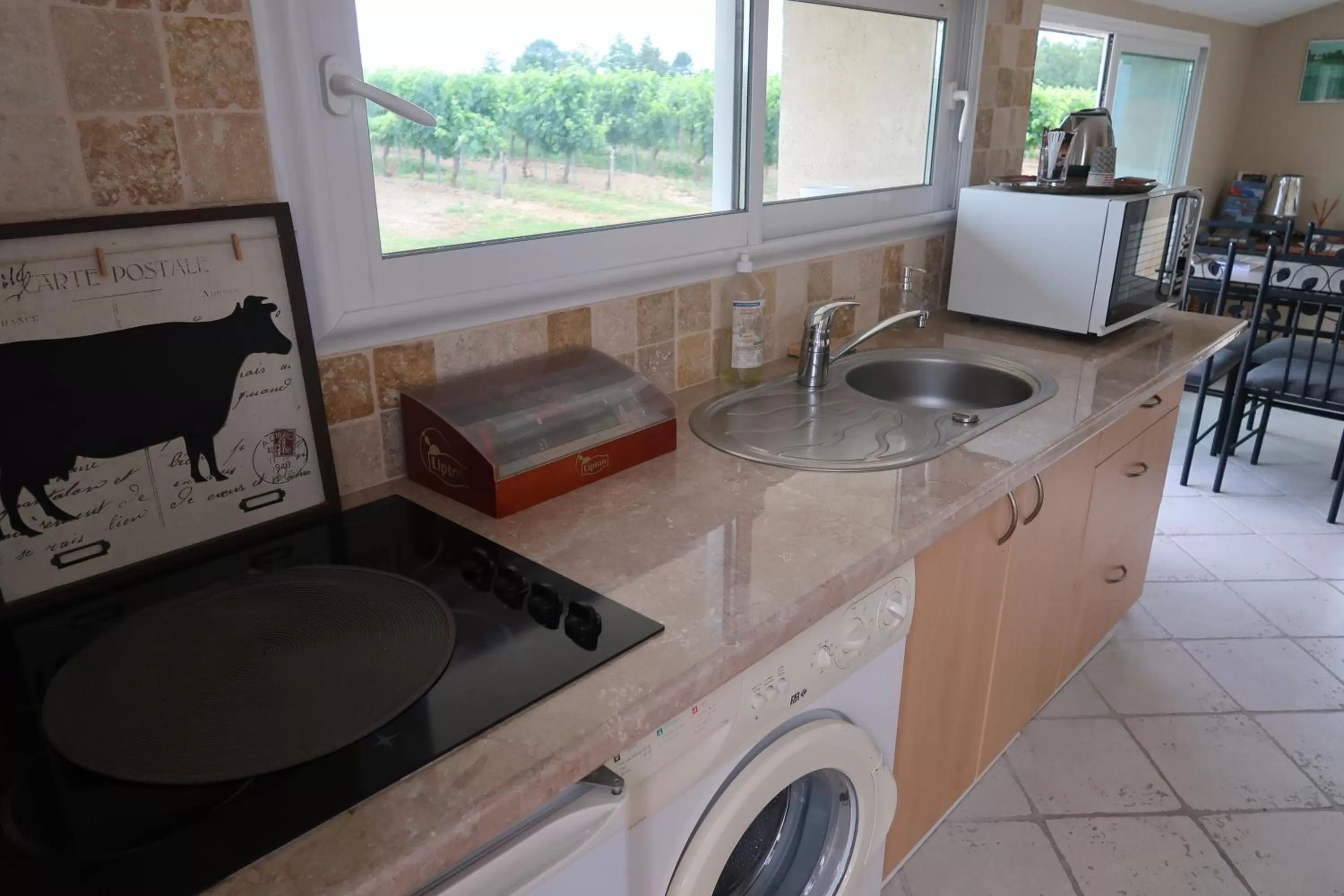 Kitchen or kitchenette in l'Orangerie de La Pontête