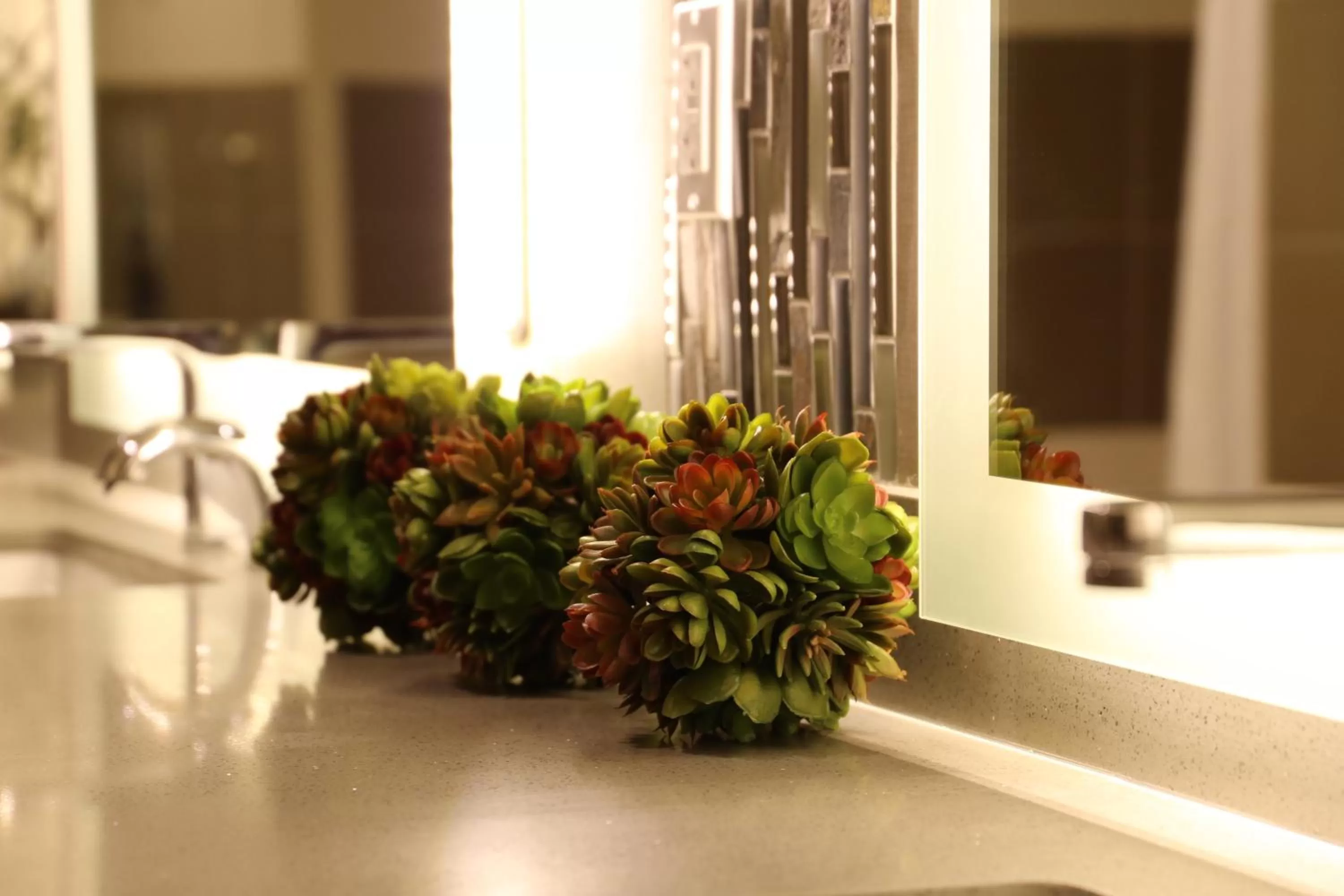 Fitness centre/facilities in Hyatt Vacation Club at the Welk, San Diego