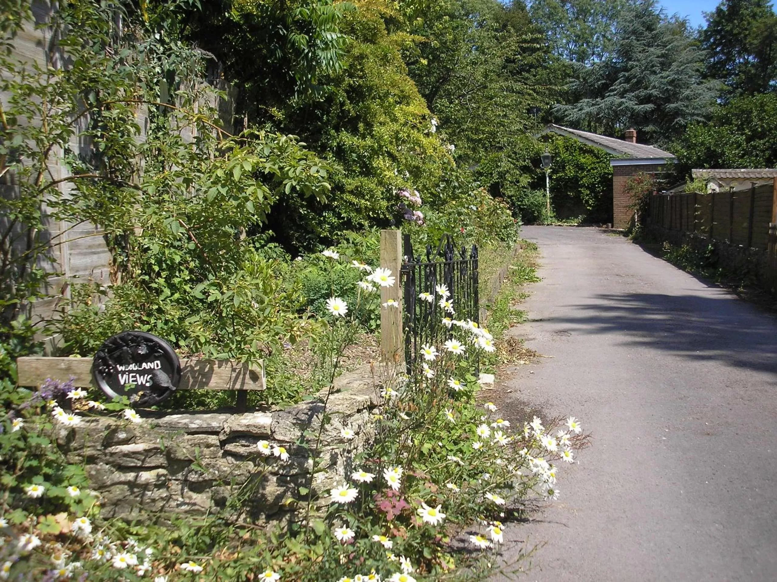 Spring in Woodland Views