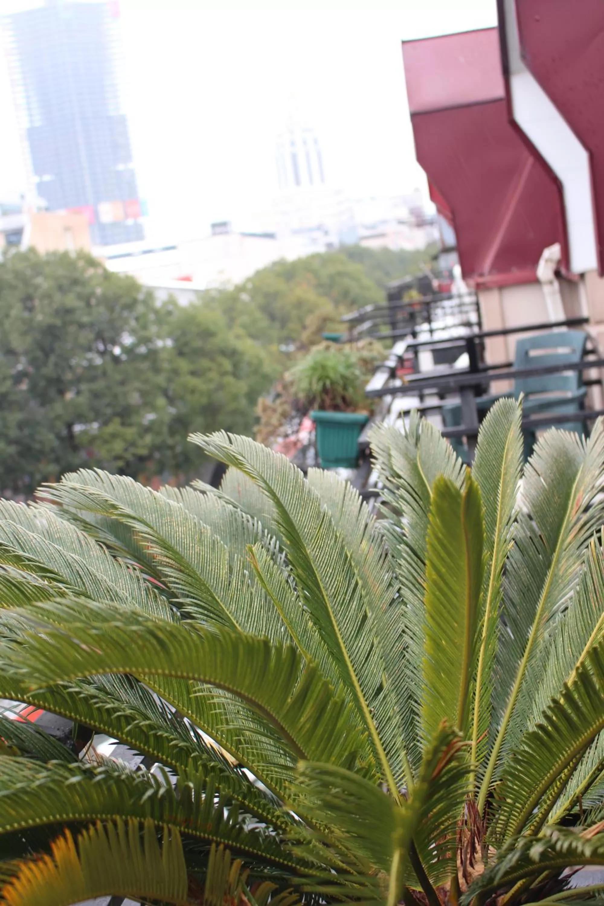 View (from property/room) in IRISE