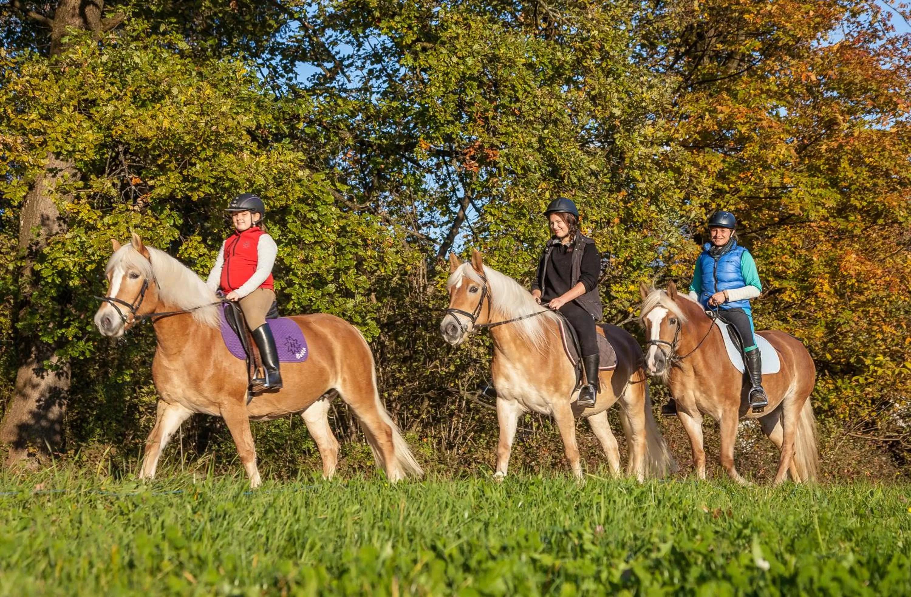 Horseback Riding in Hotel Hauserwirt