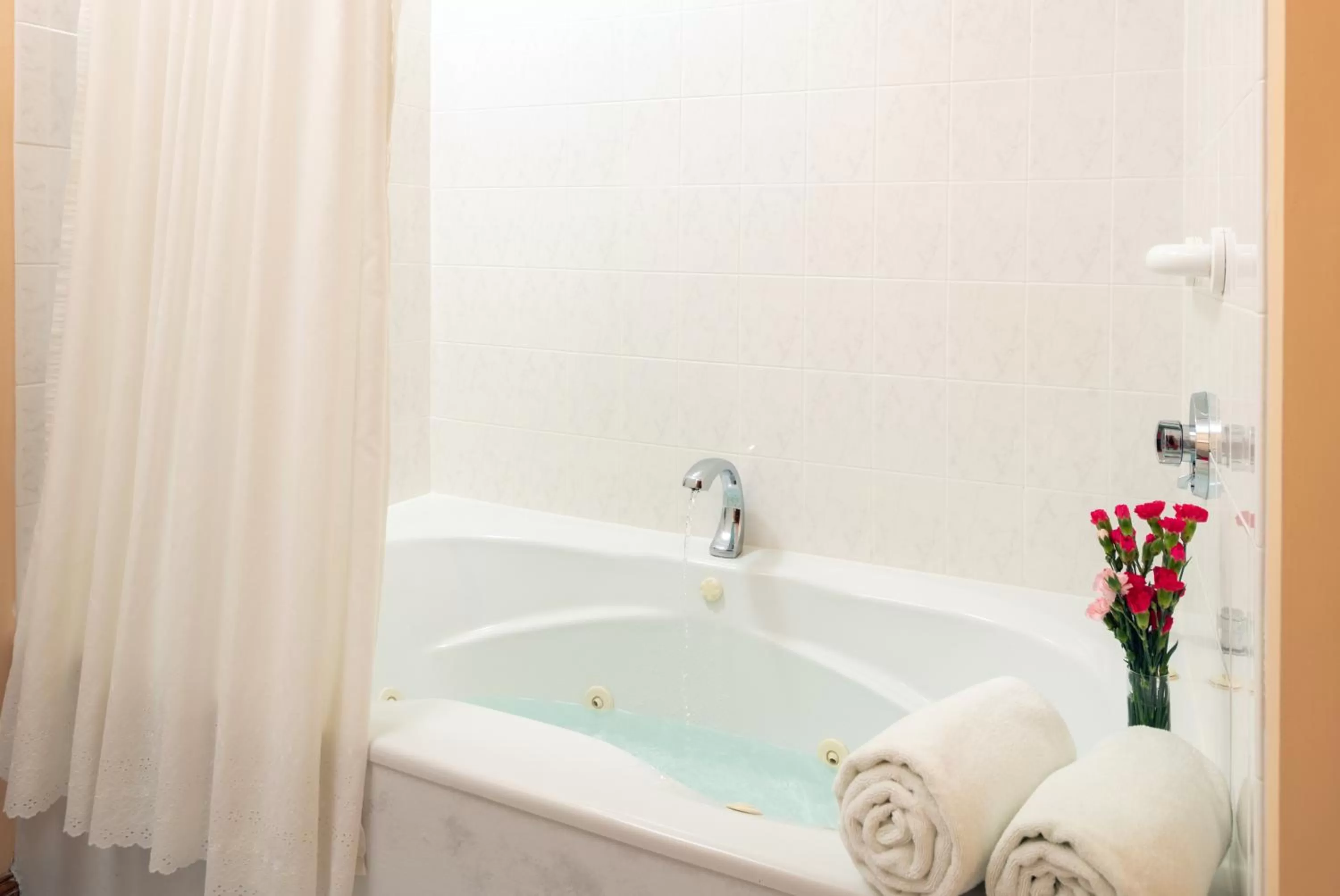 Bathroom in Palmer House Inn