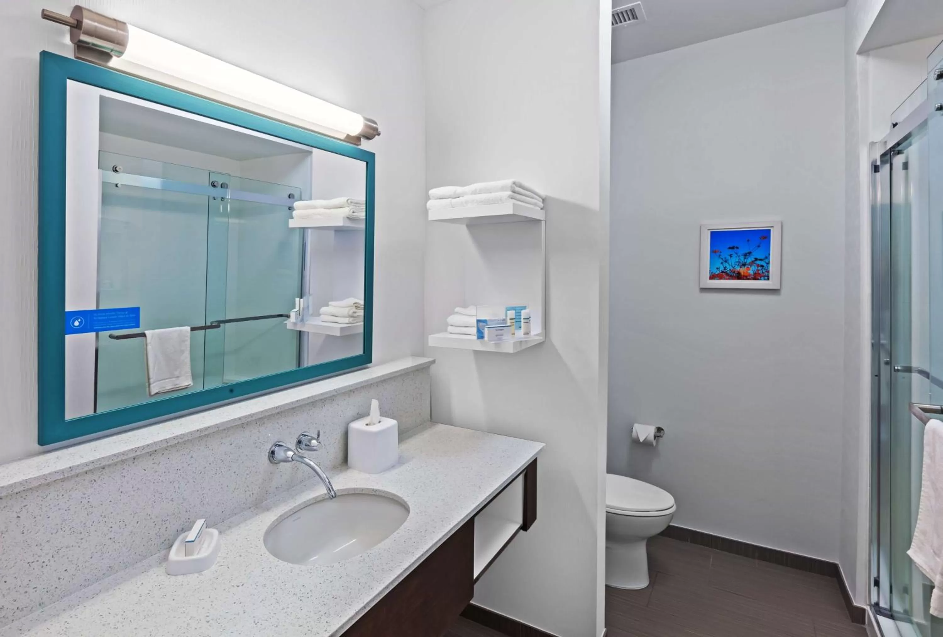 Bathroom in Hampton Inn Ozona