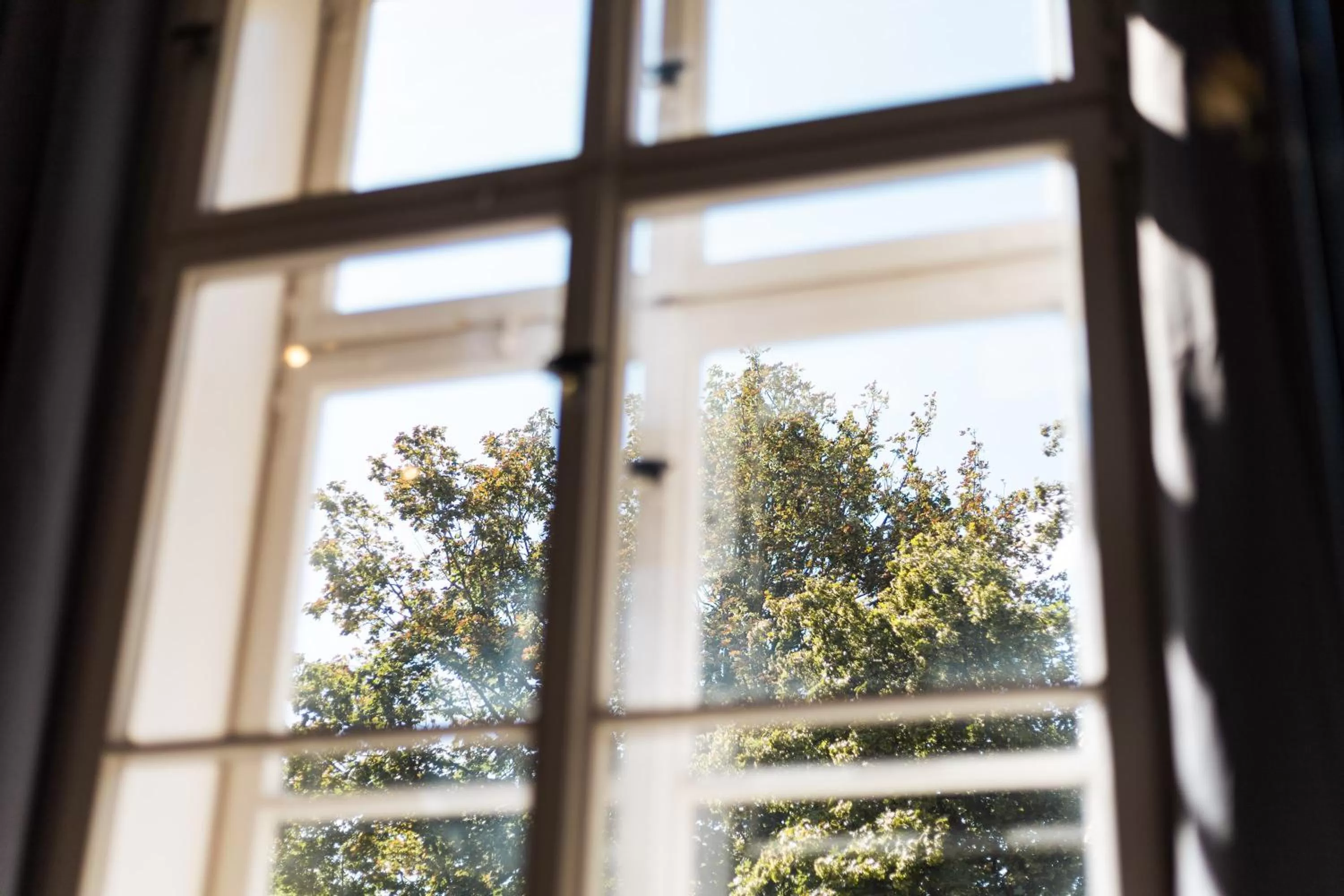 View (from property/room) in Ko-Living Space an der Oper - Street Art Design Apartments