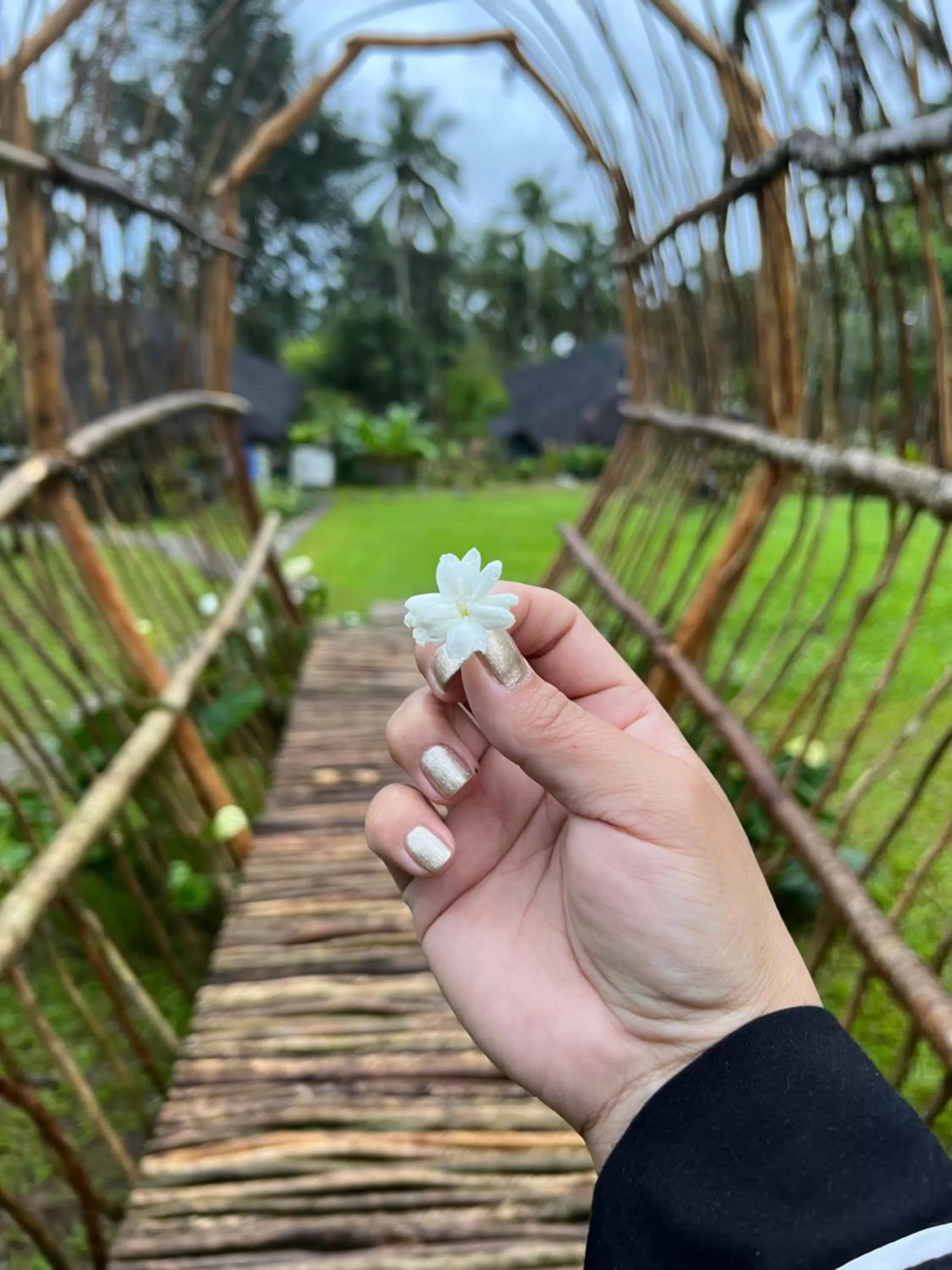 Bintana sa Paraiso Binunsaran