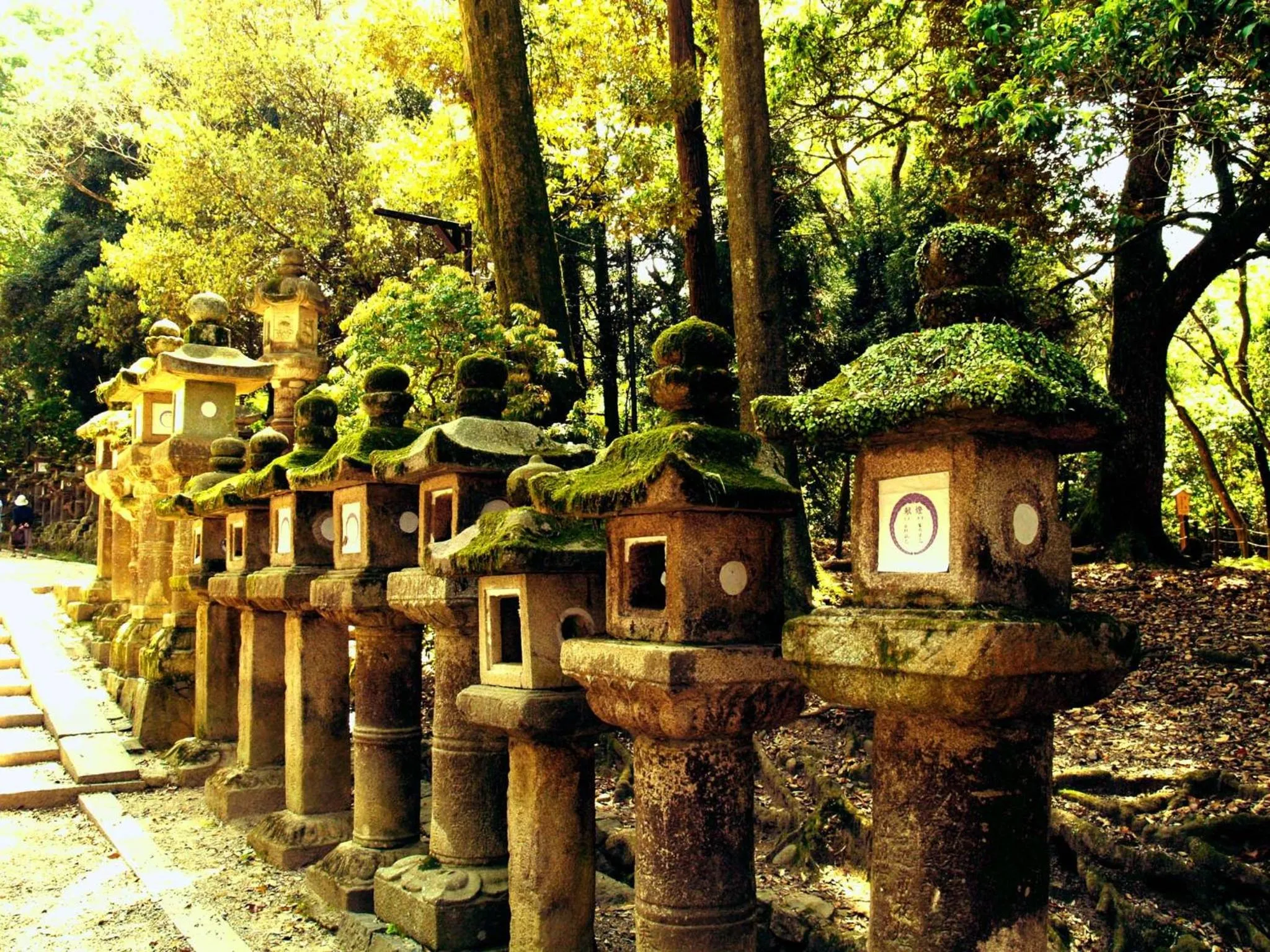 Area and facilities in Guesthouse Nara Komachi