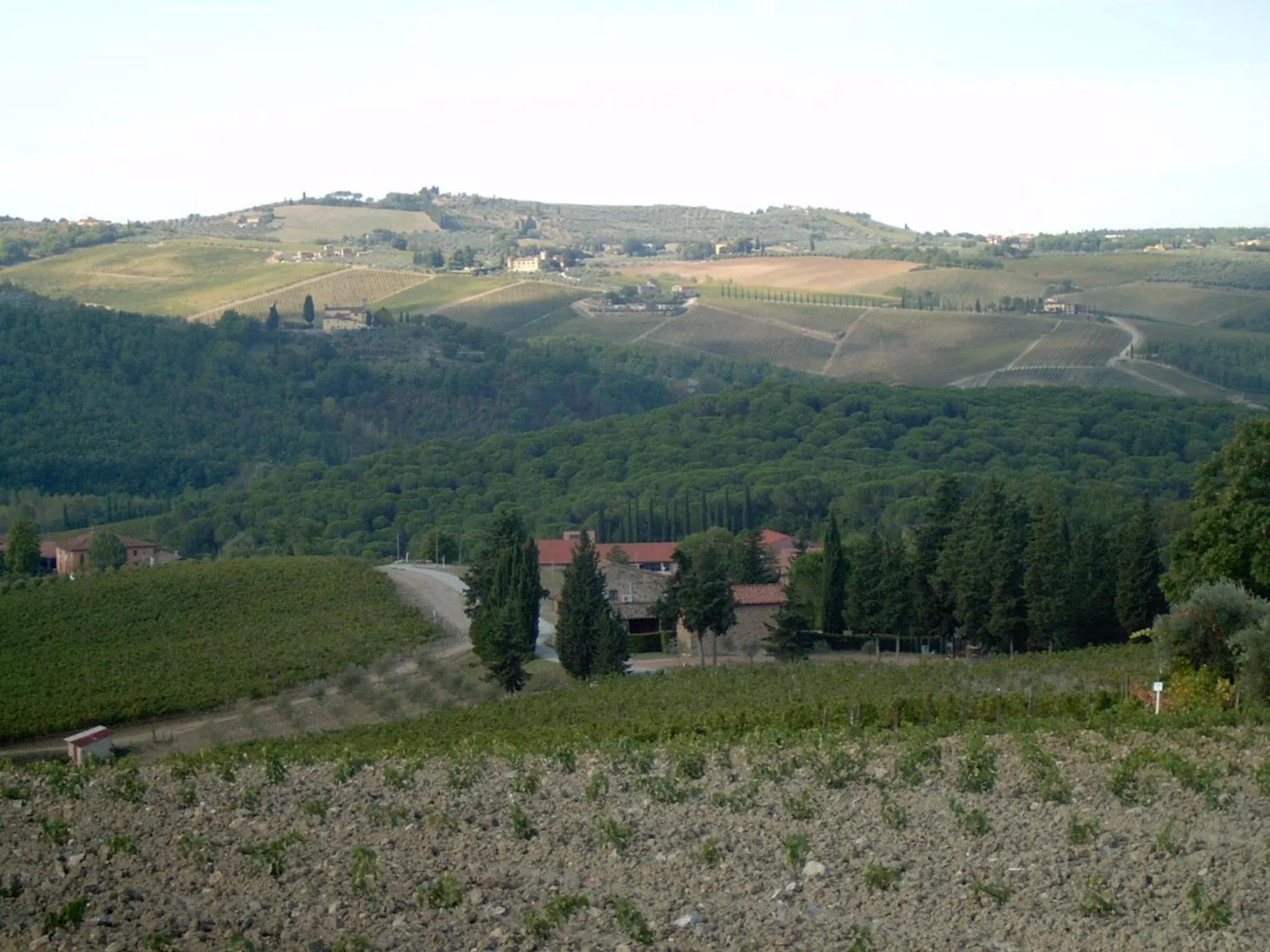 Natural landscape in Residence Casprini da Omero