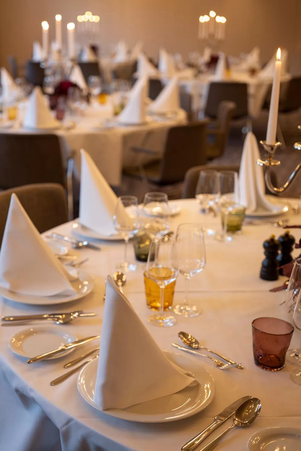 Banquet/Function facilities in Hotel Walhalla