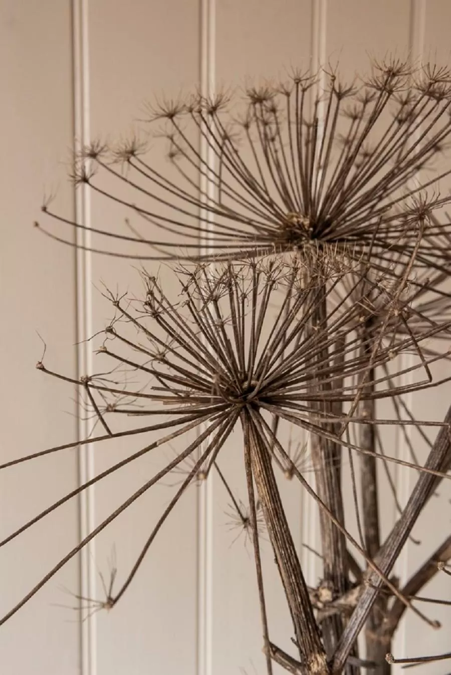 B&B "de Kleine Vesting"