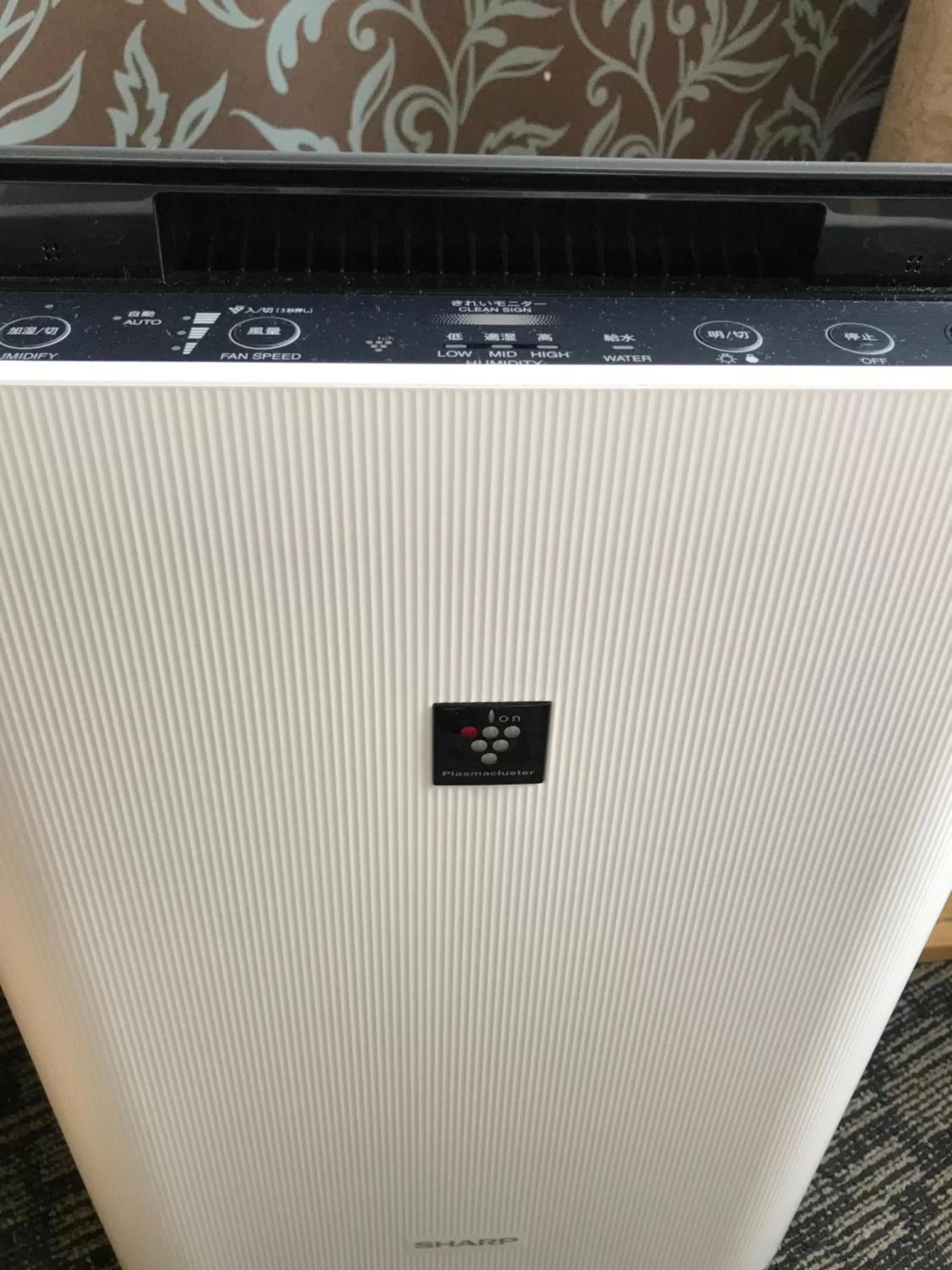 Numazu River Side Hotel