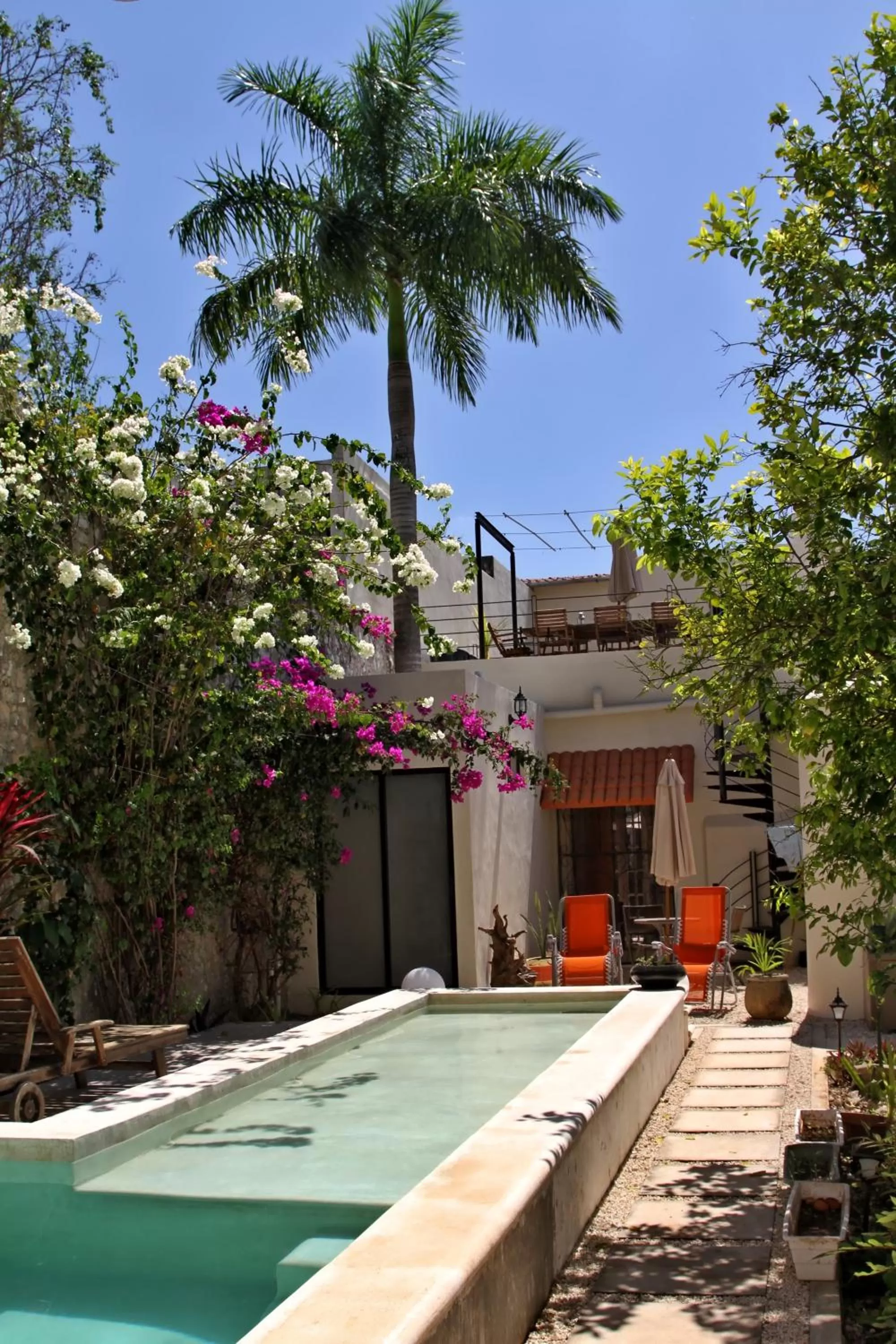 Swimming pool in La Pantera Negra