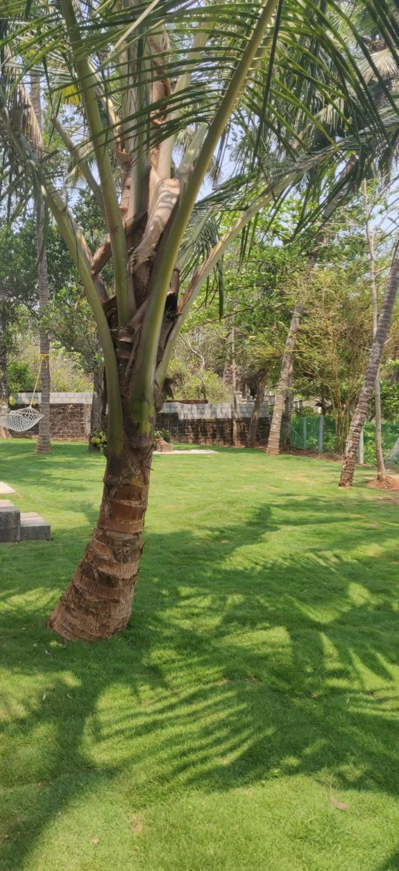 Garden in Perch by the sea