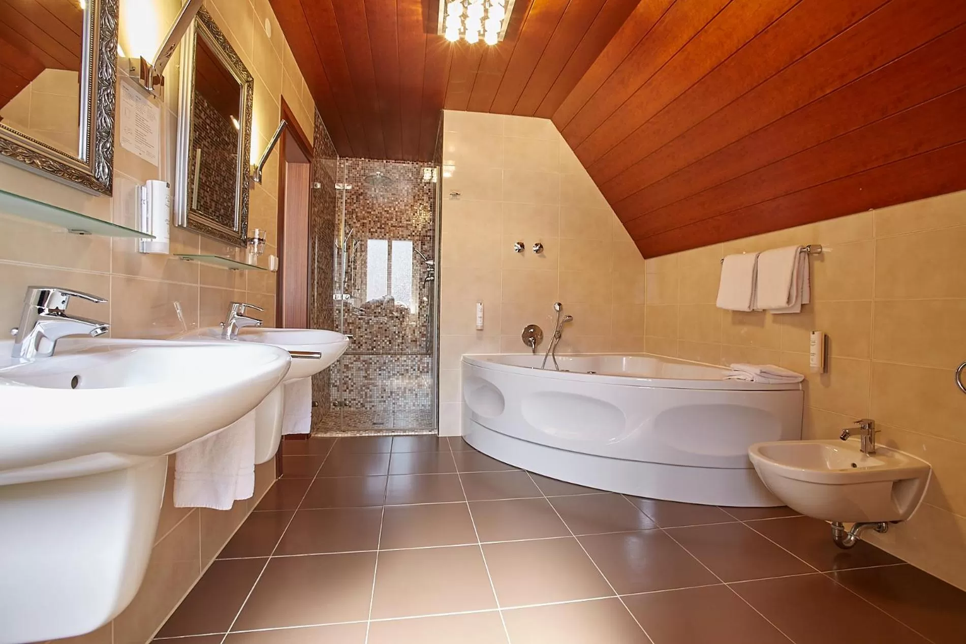 Bathroom in Hotel Beek by Anna