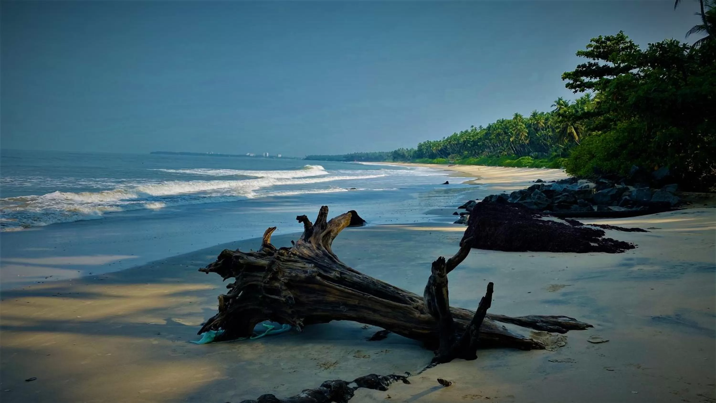 Beach in White Shell Beach House