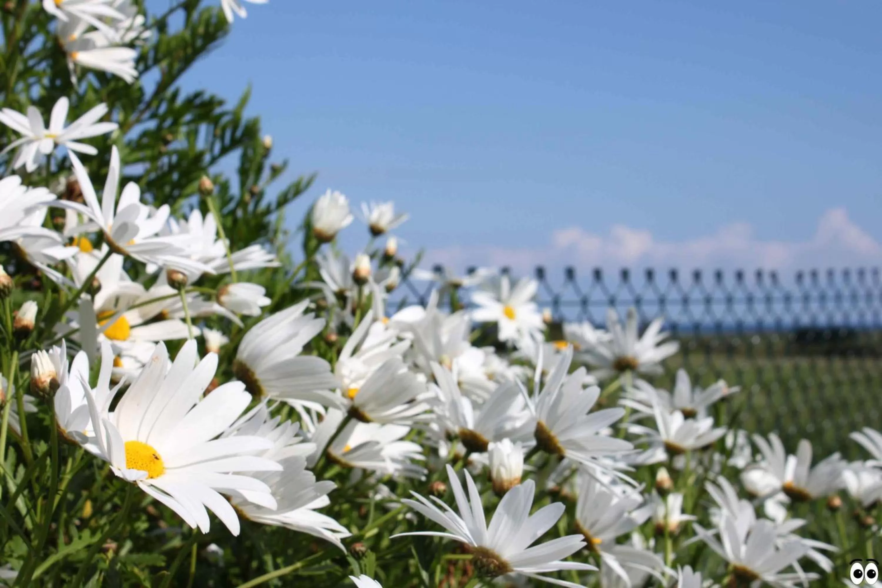 Garden in Hotel Mi Norte