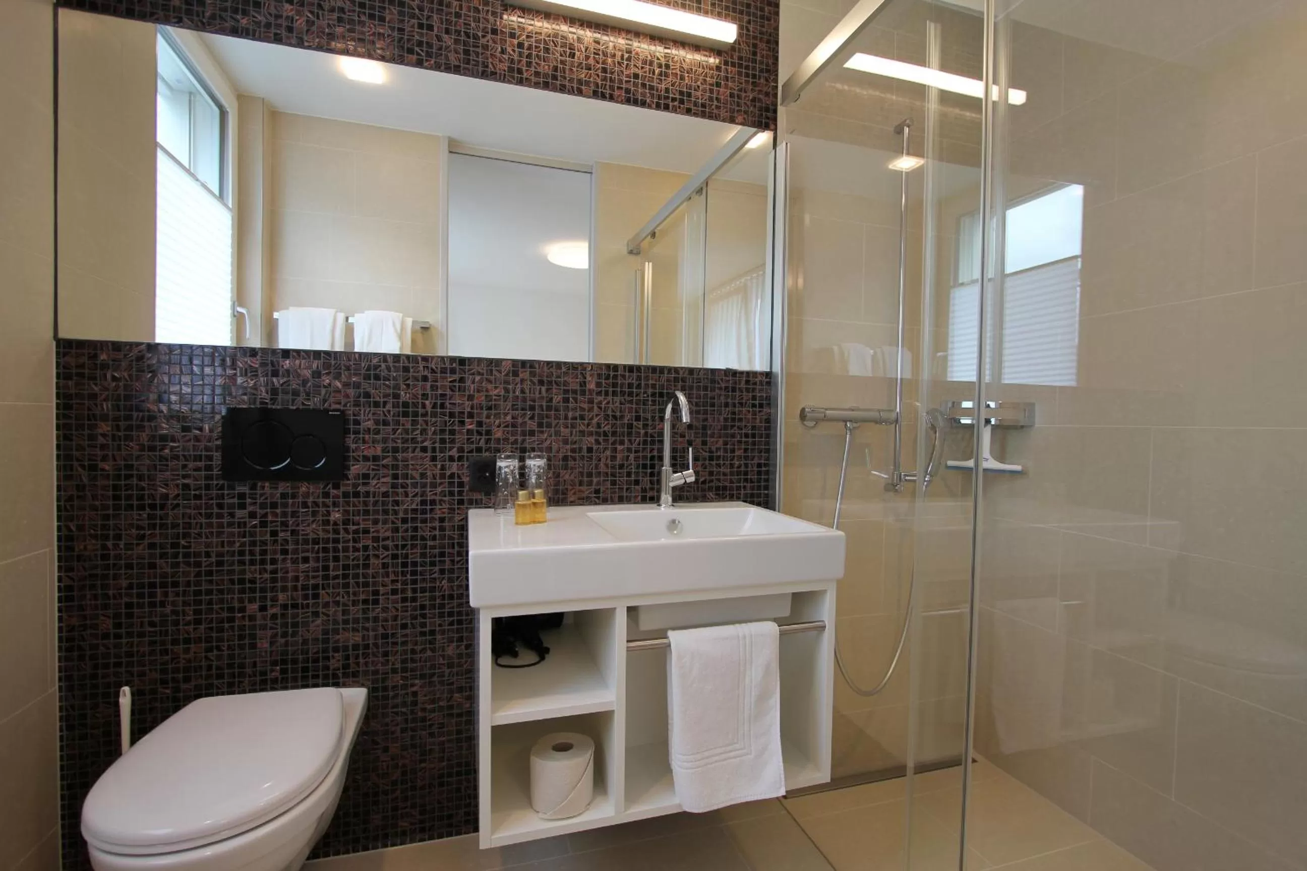 Toilet in Hotel Flawil