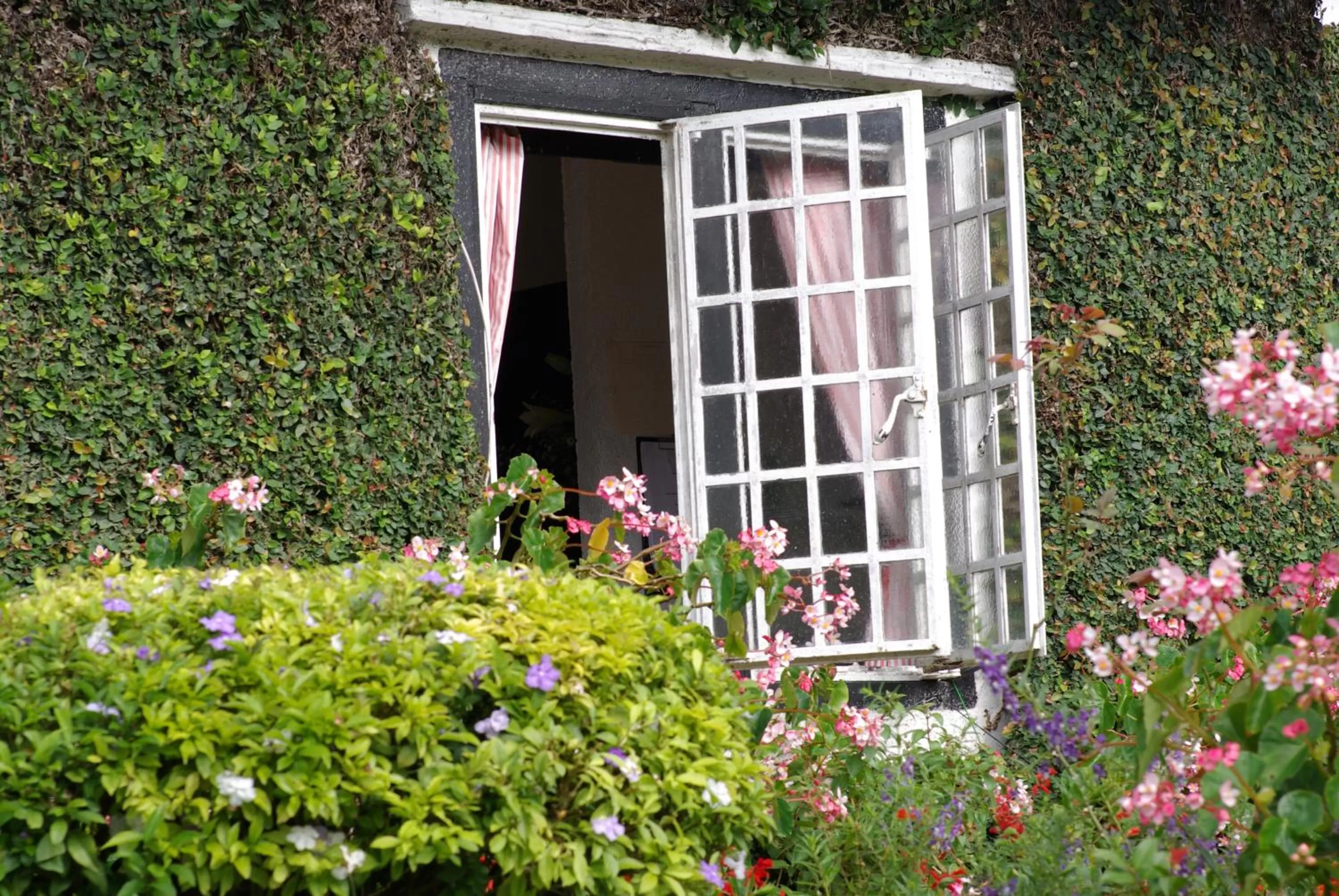 Property building in The Smokehouse Hotel & Restaurant Cameron Highlands