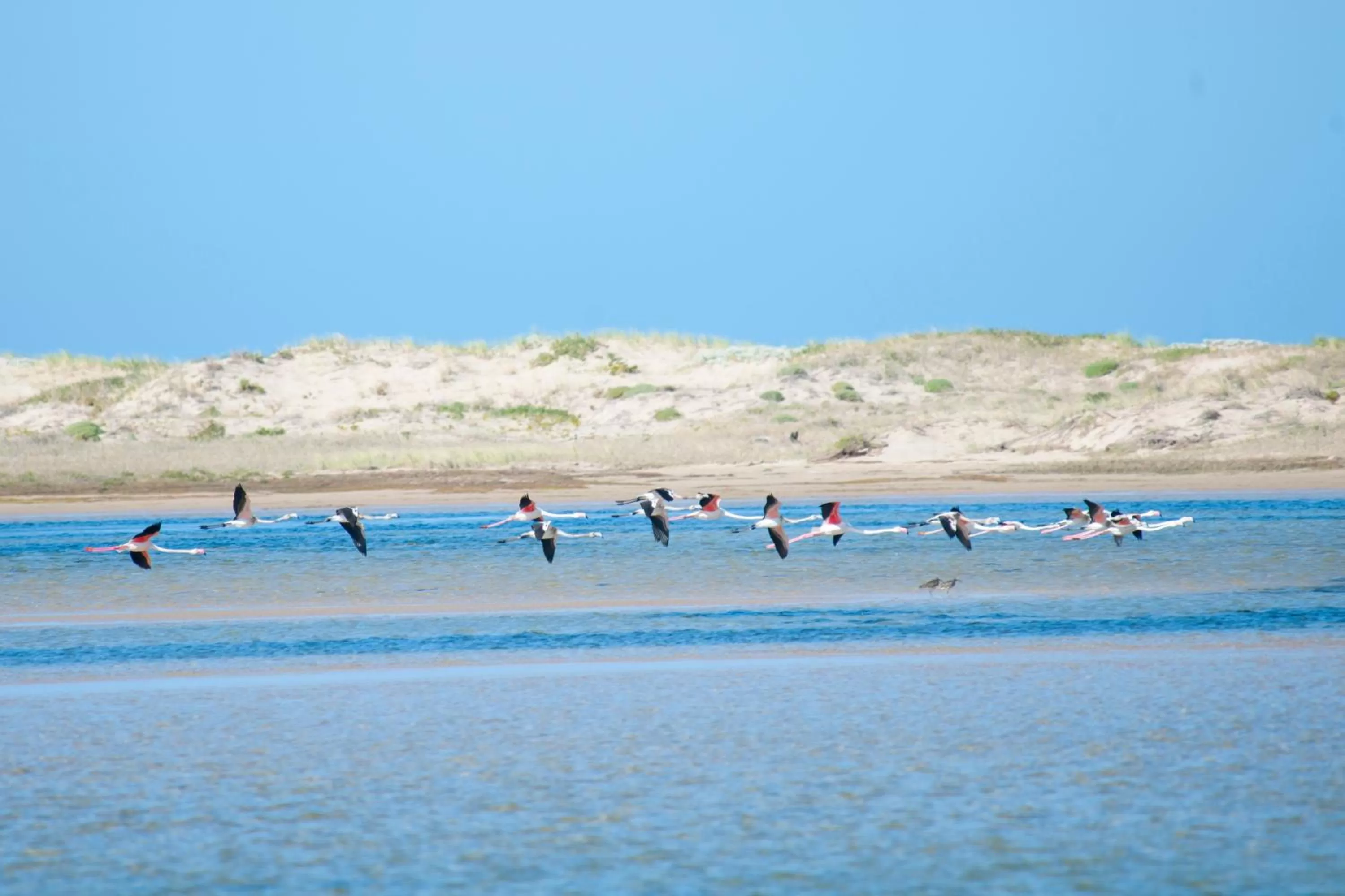 Beach in Panoramic Blue B&B