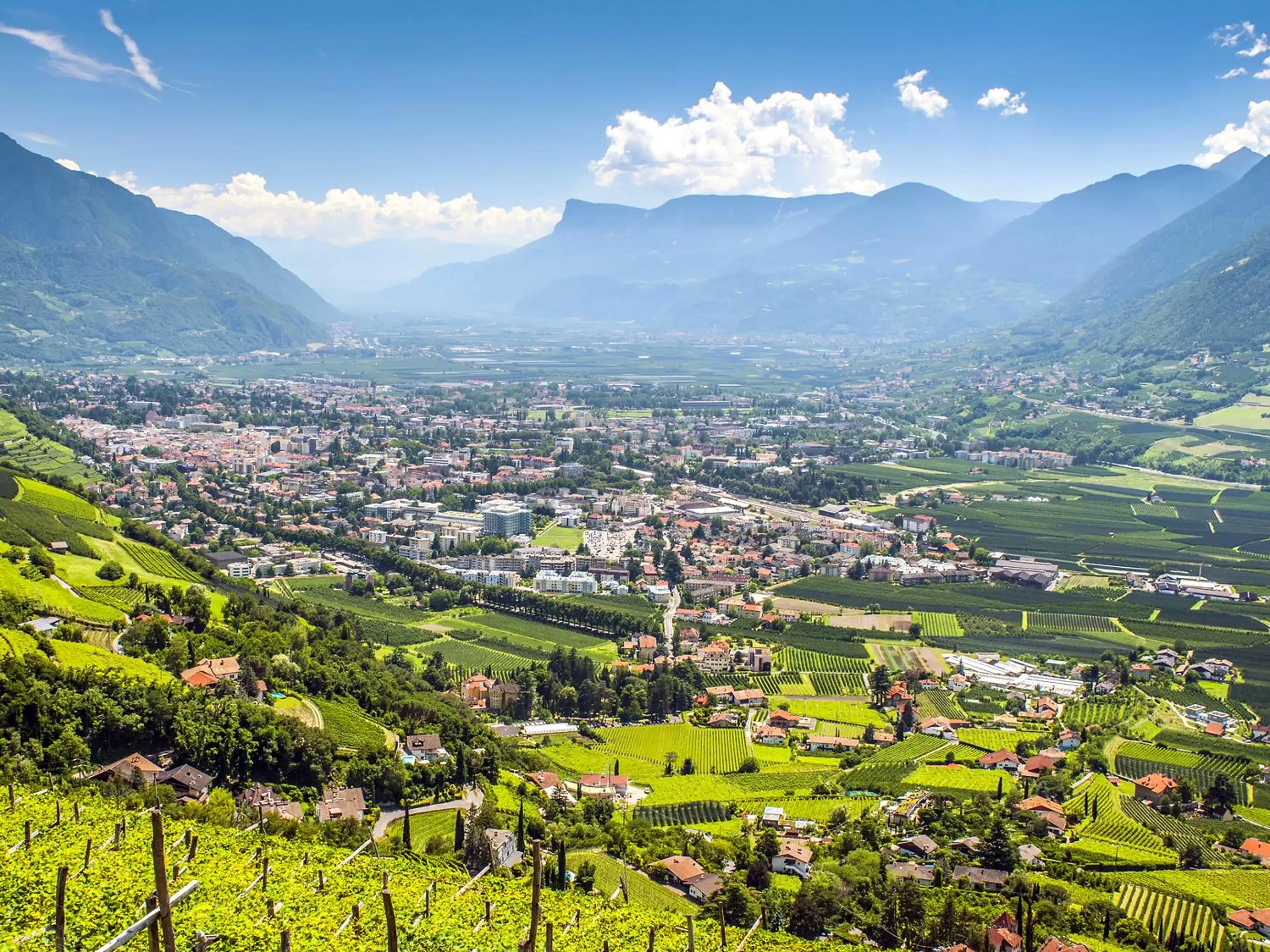 Natural landscape in Flora Hotel & Suites