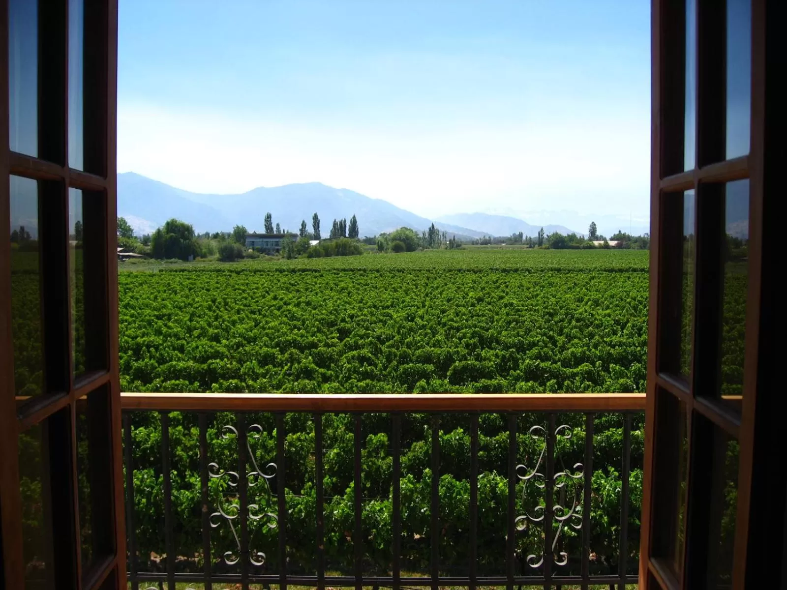 Patio in Hotel Terraviña