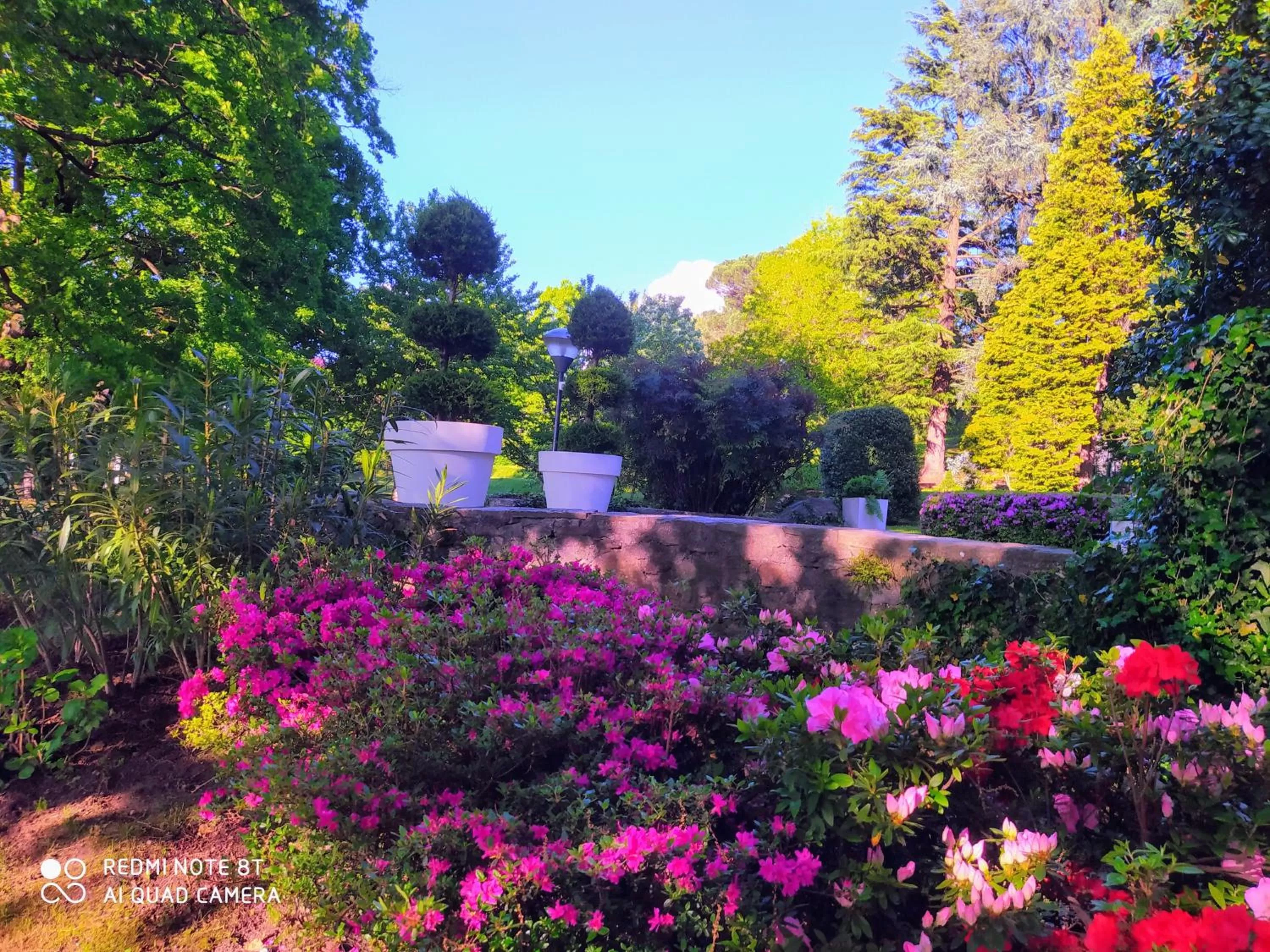 Garden view, Garden in "La Selvetta" bed and breakfast