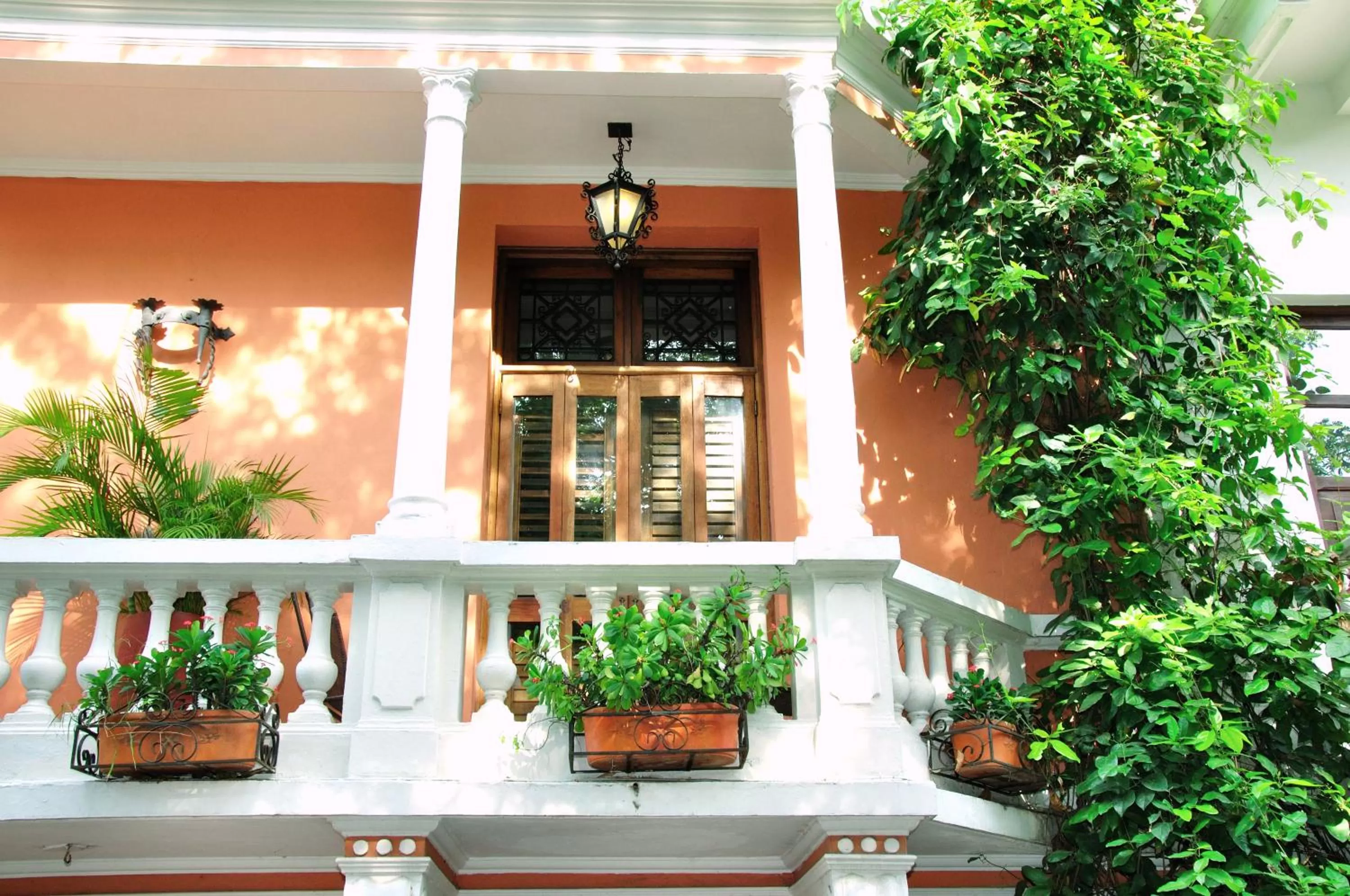 Balcony/Terrace in Hotel Casa La Fe