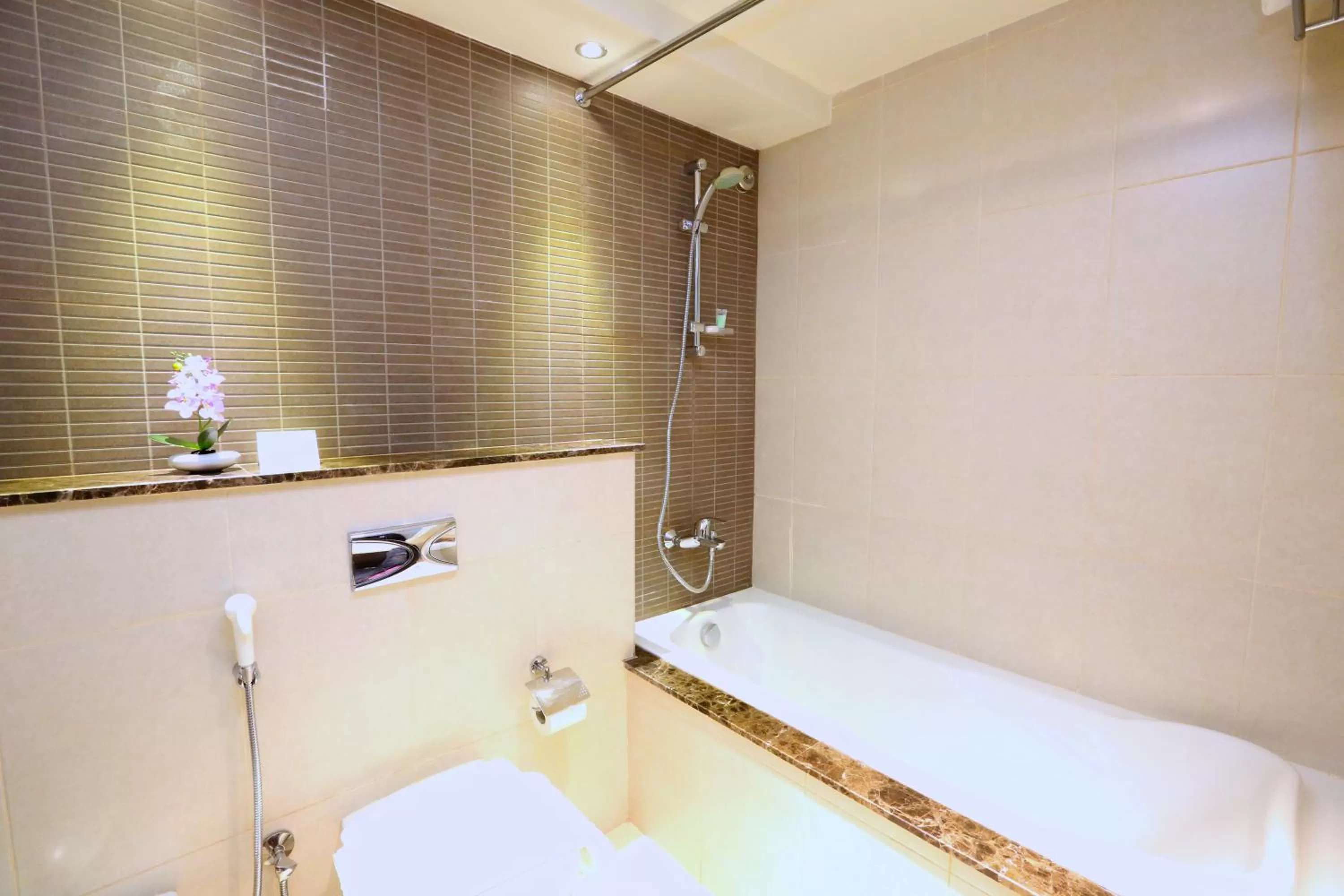 Shower in Nehal Hotel