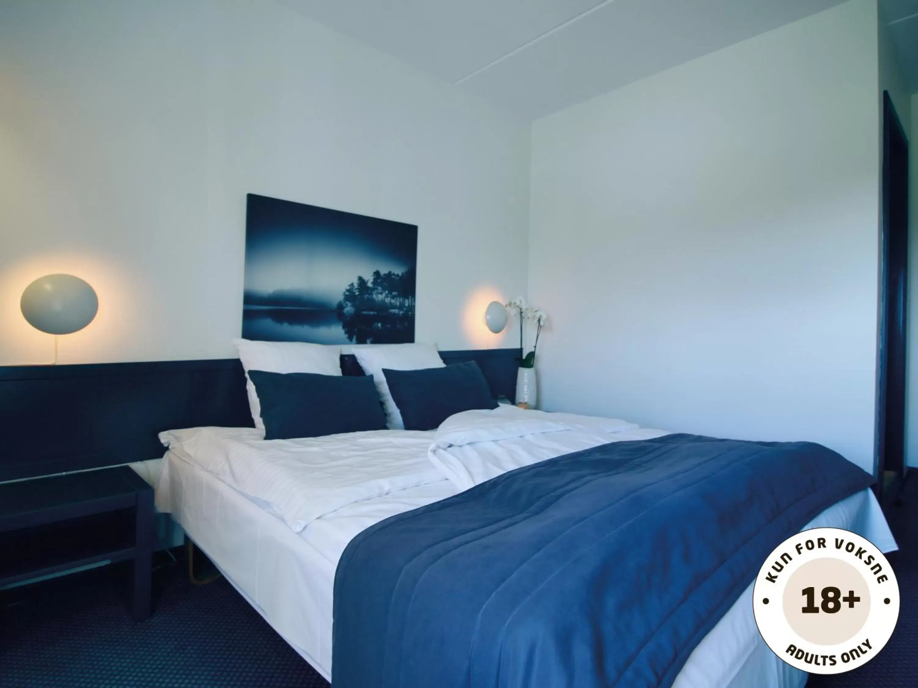 Deluxe Double or Twin Room in Ærø Hotel - Adults only Deluxe Double or Twin Room in Ærø Hotel - Adults only