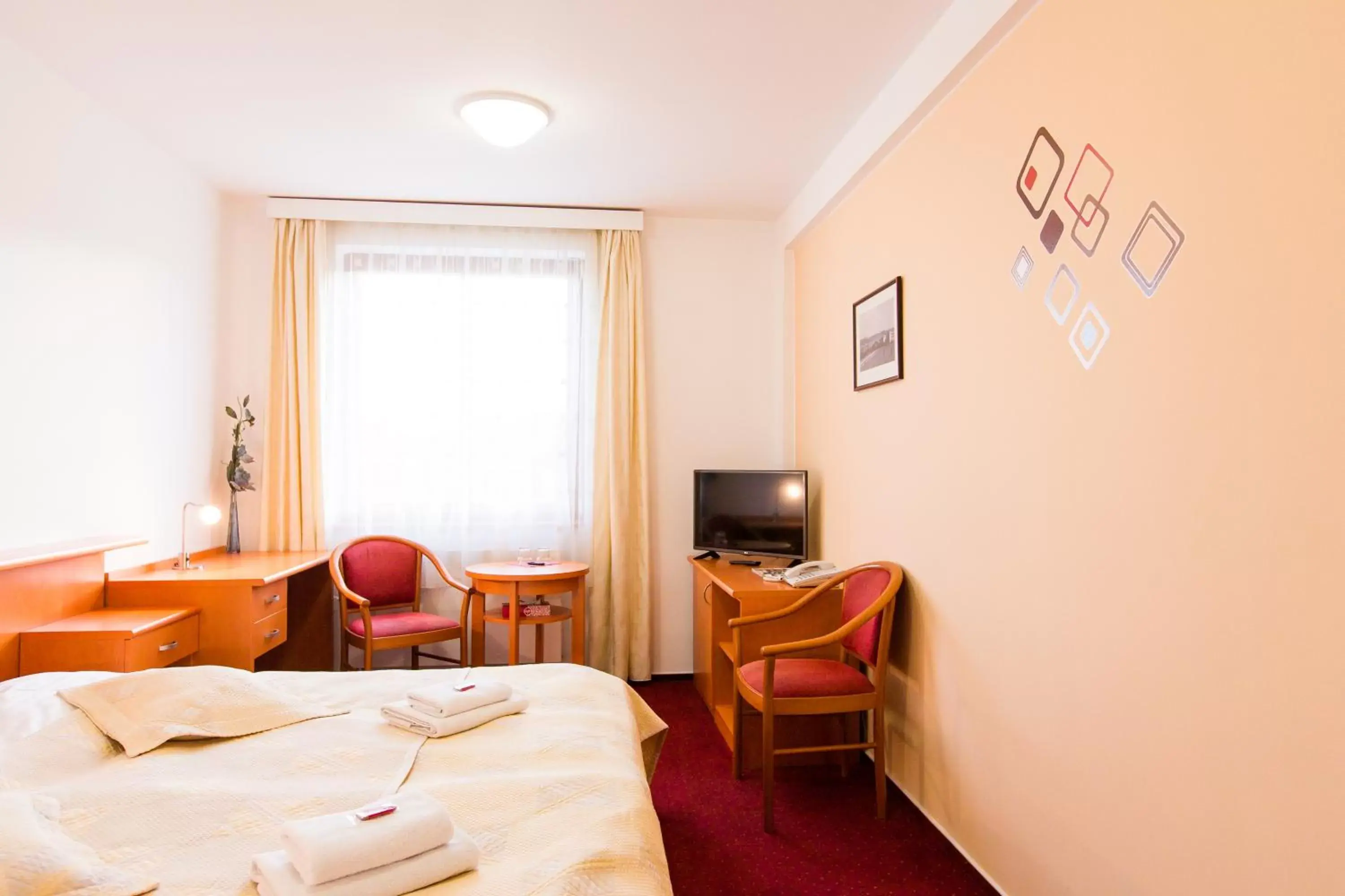 Double or Twin Room - single occupancy in Hotel U Beránka Náchod Double or Twin Room - single occupancy in Hotel U Beránka Náchod