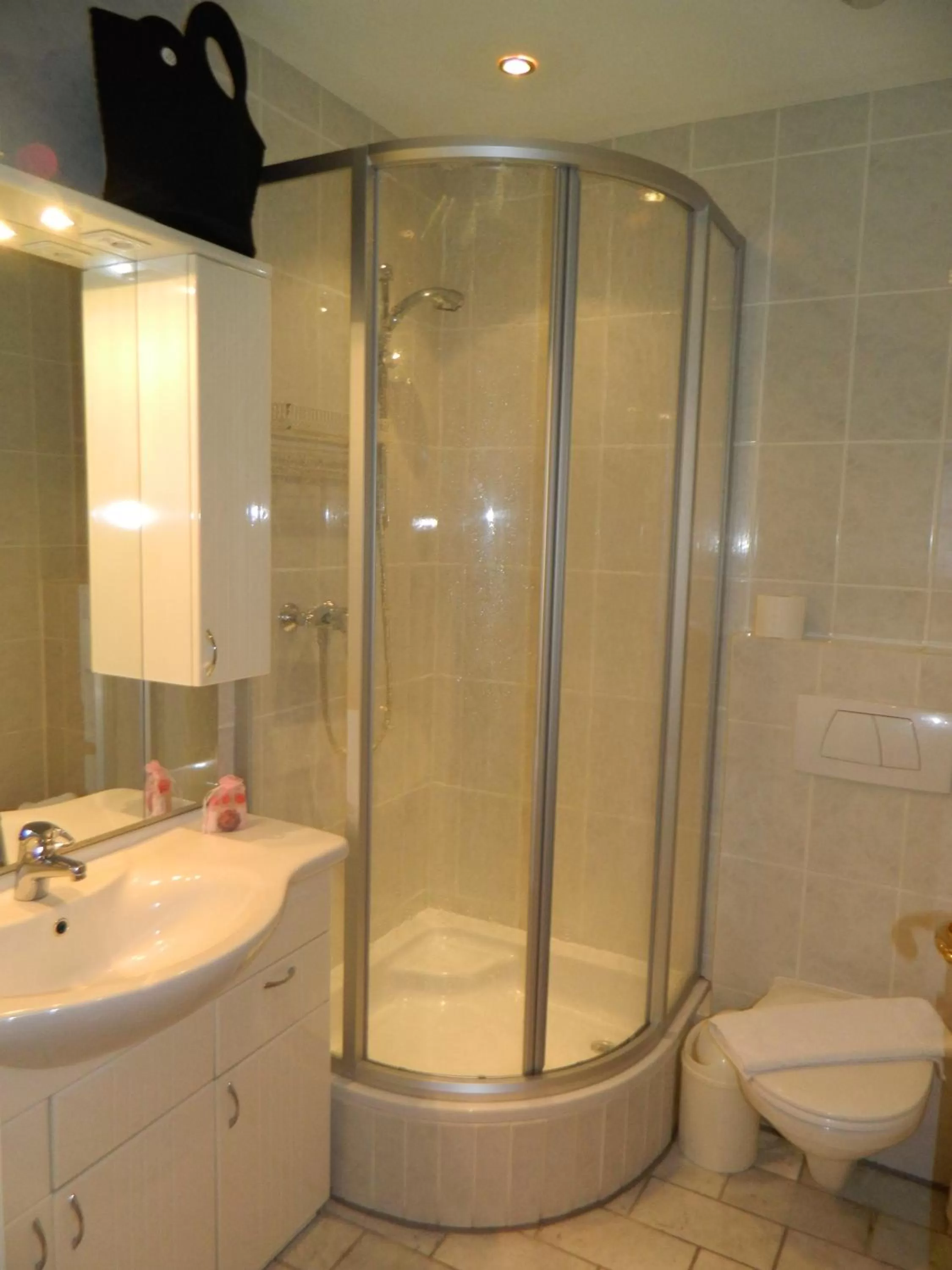 Bathroom in Apparthotel Tom Sojer