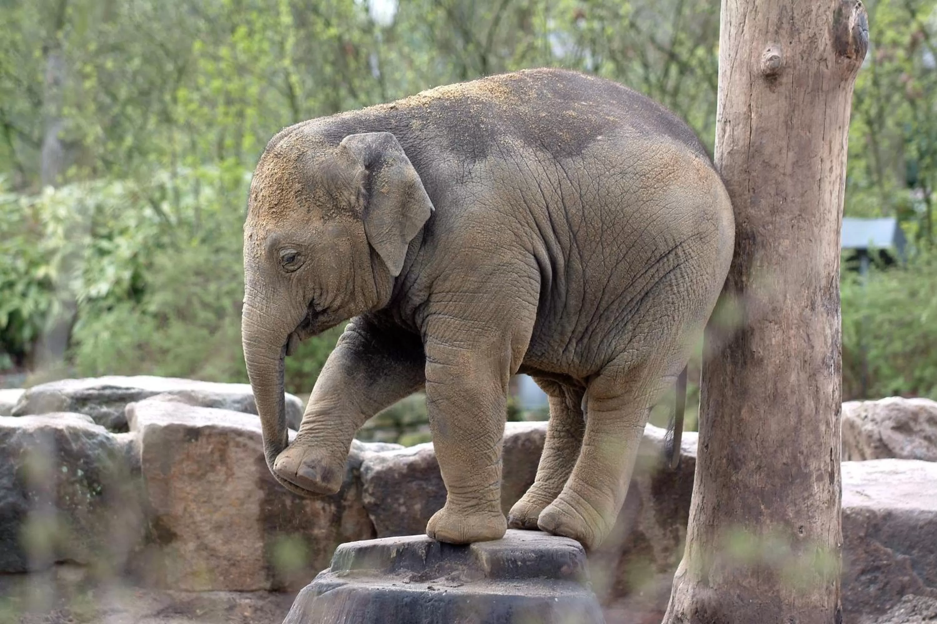 Nearby landmark in Hotel ten Cate Emmen