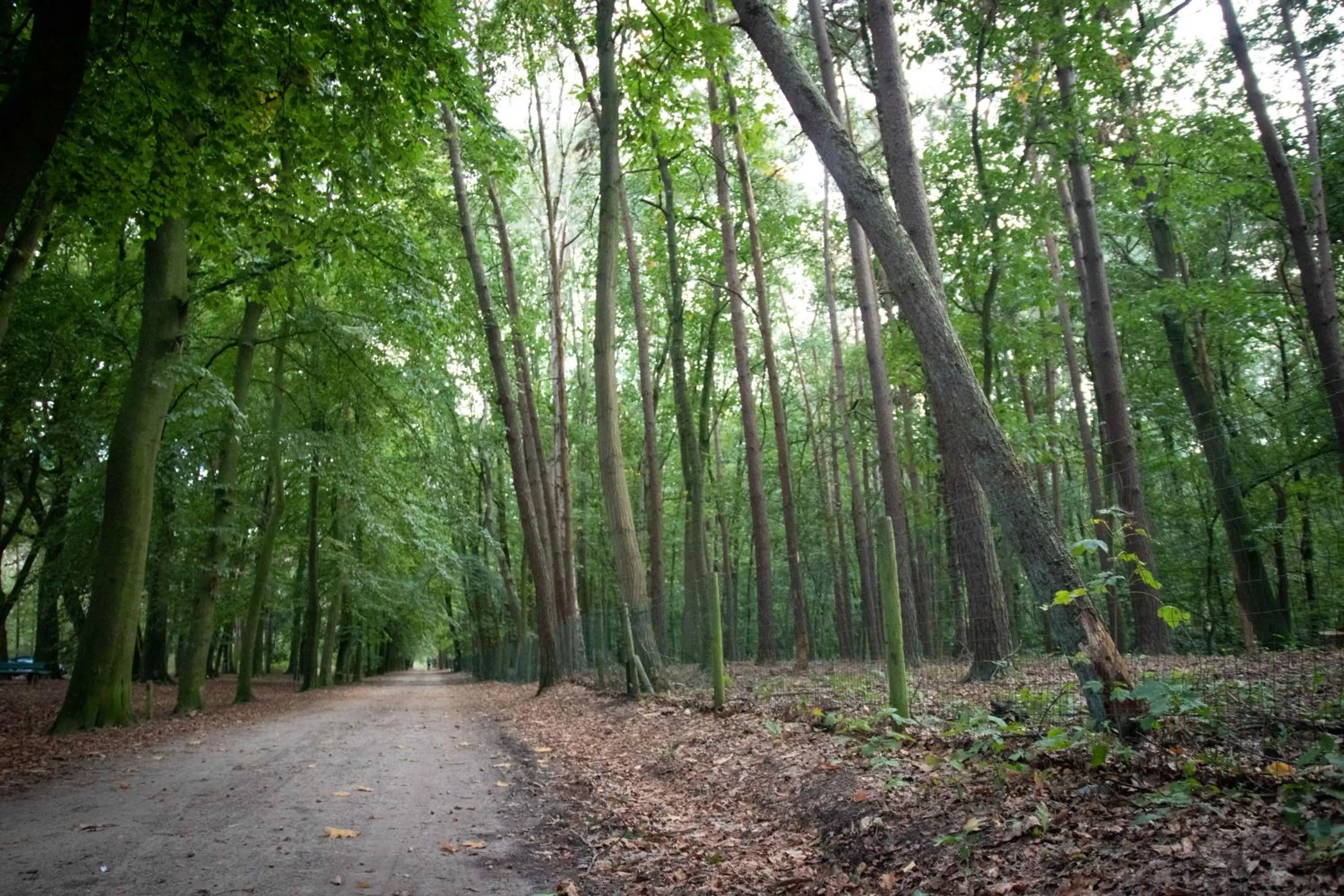 Neighbourhood in Barbos