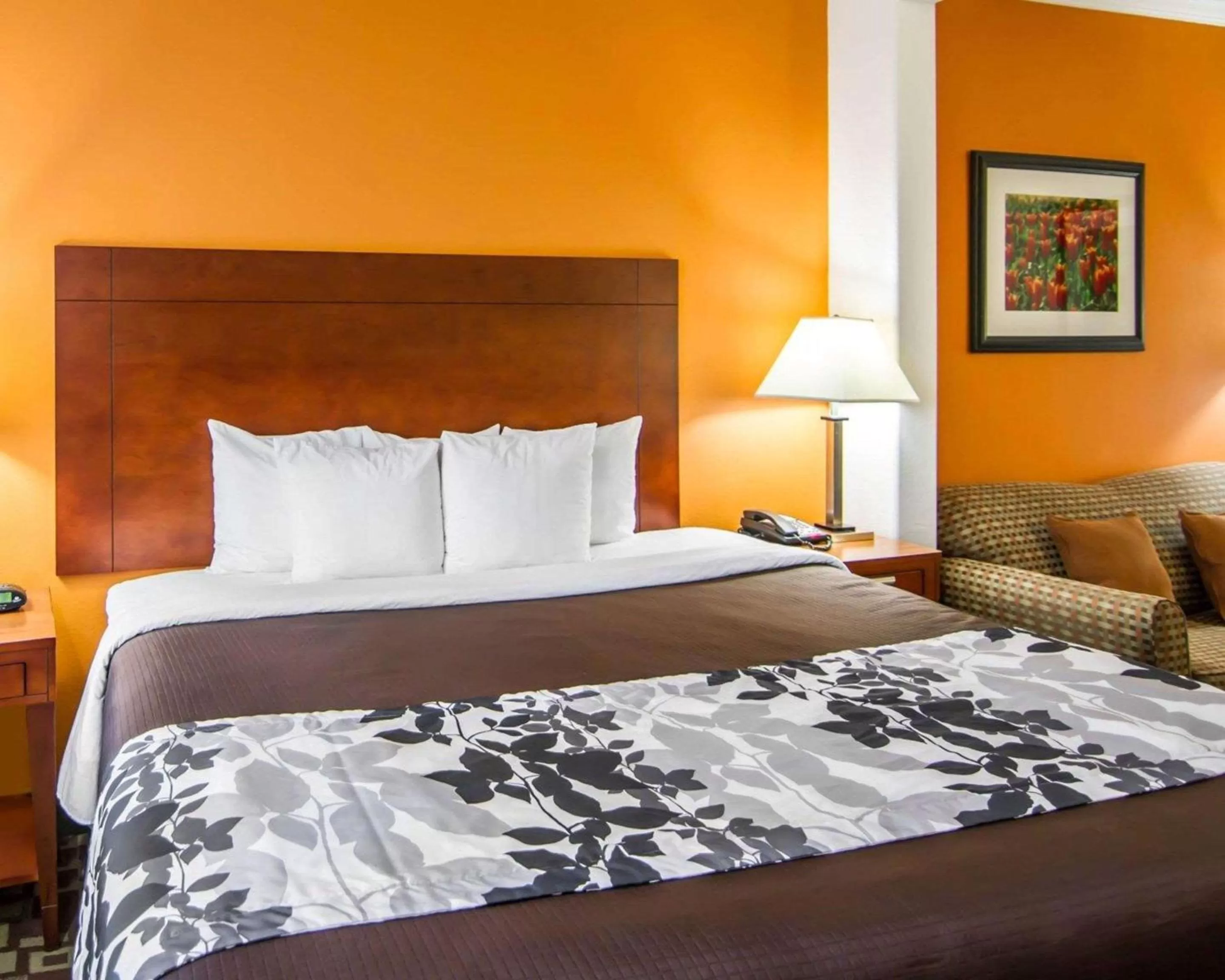 Photo of the whole room in Sleep Inn & Suites Shreveport West