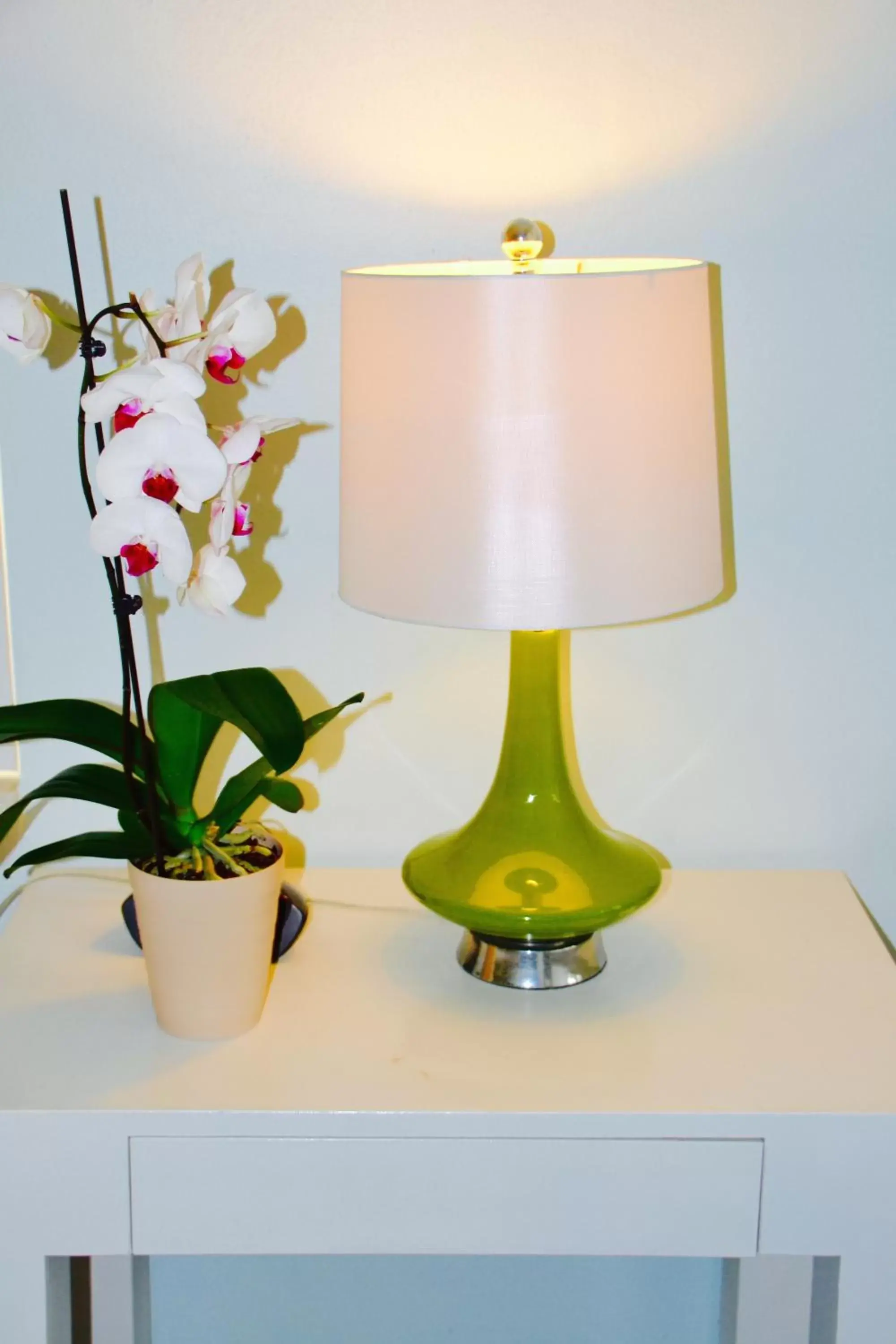 Apartment with Pool View in Sea Turtle Inn Apartment with Pool View in Sea Turtle Inn