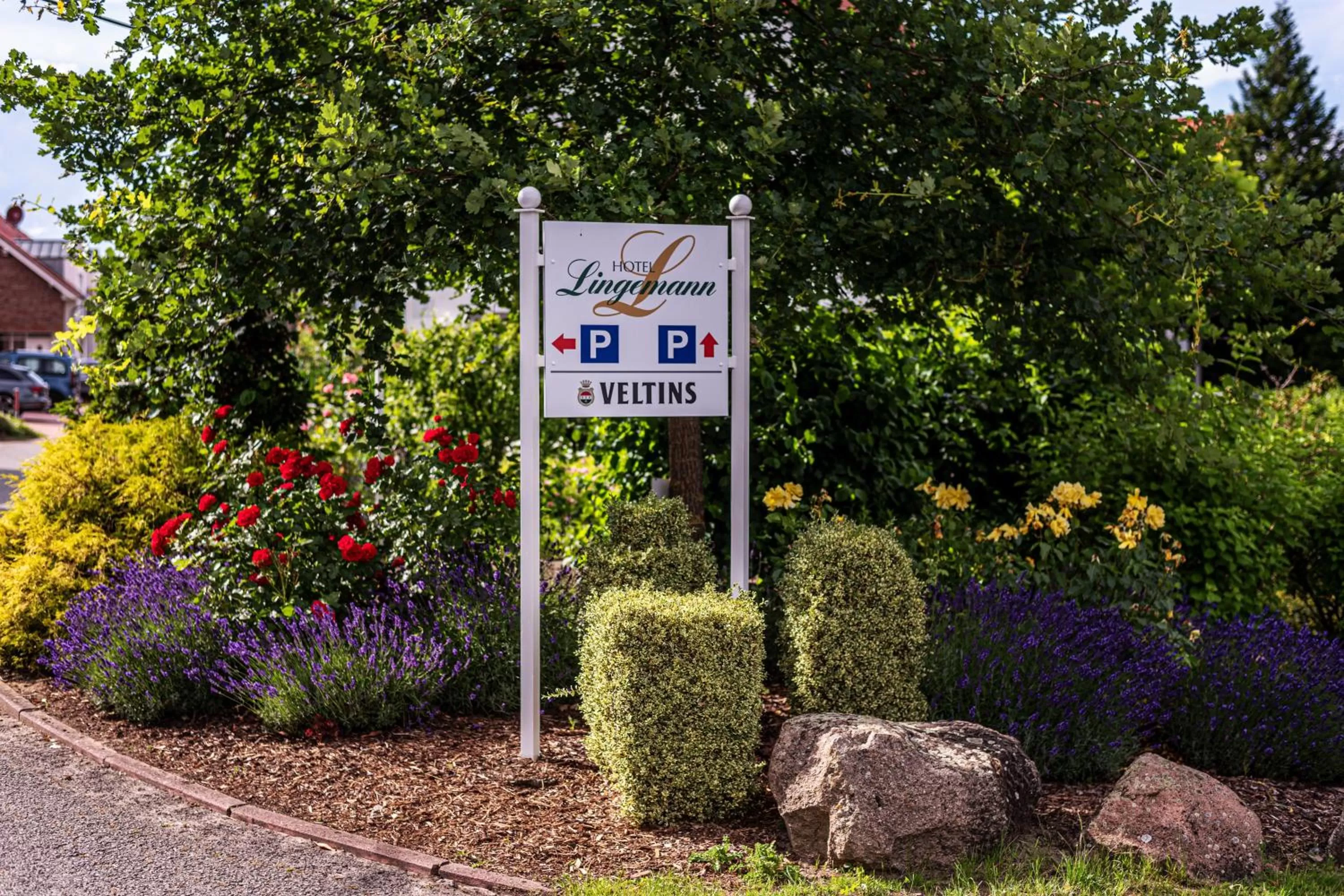 Patio in Hotel Lingemann