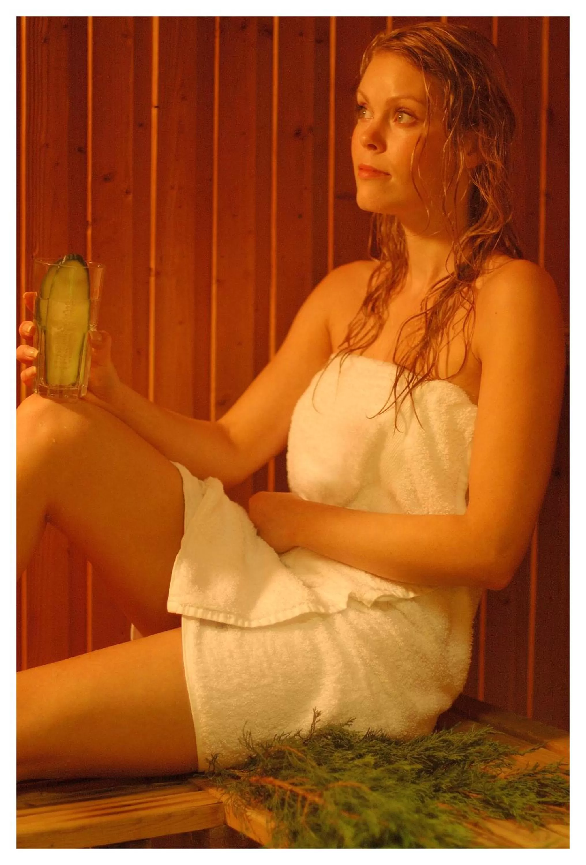 Sauna in Vinger Hotell