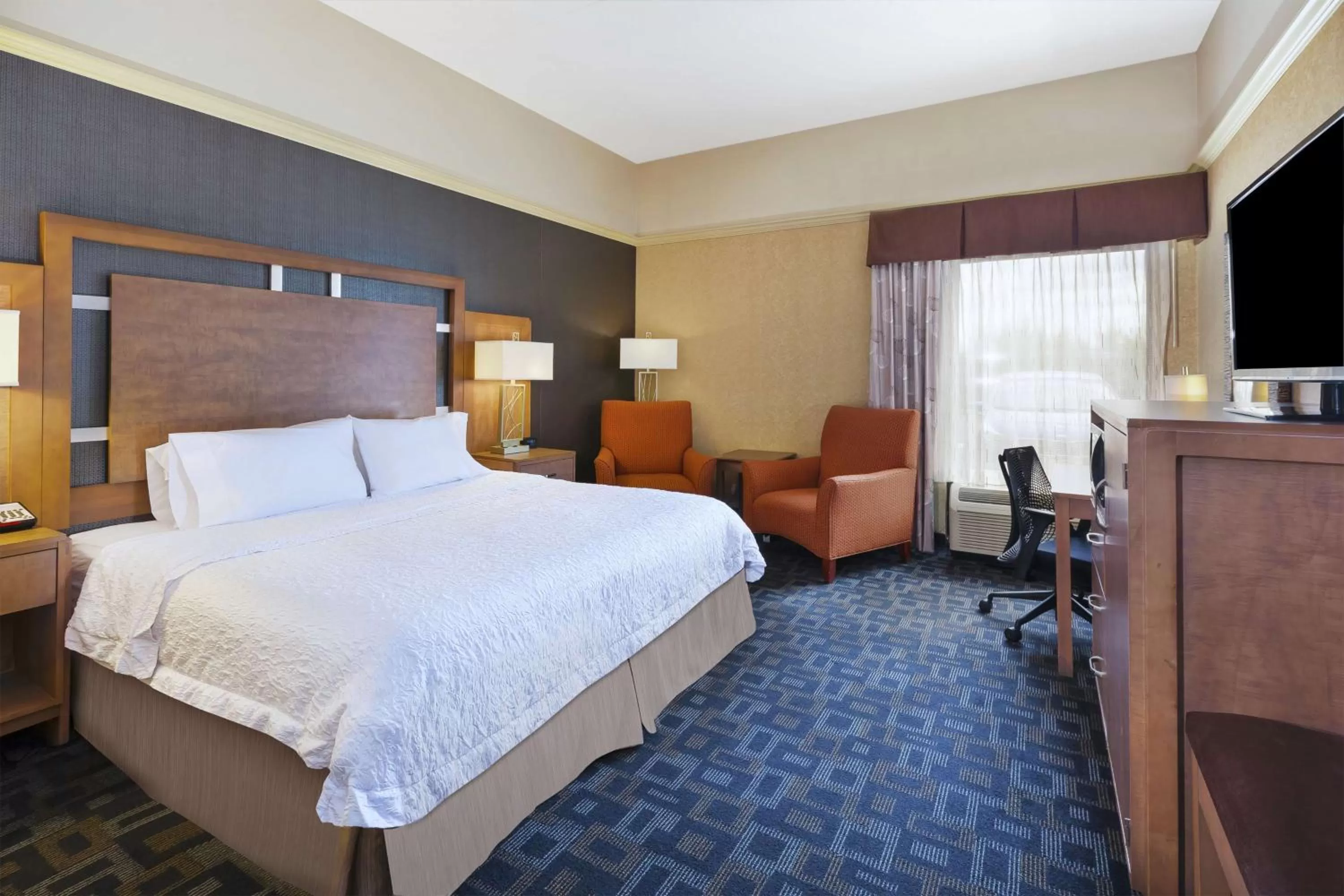 King Room - - Disability Access/Non-Smoking  Roll in Shower in Hampton Inn Clinton