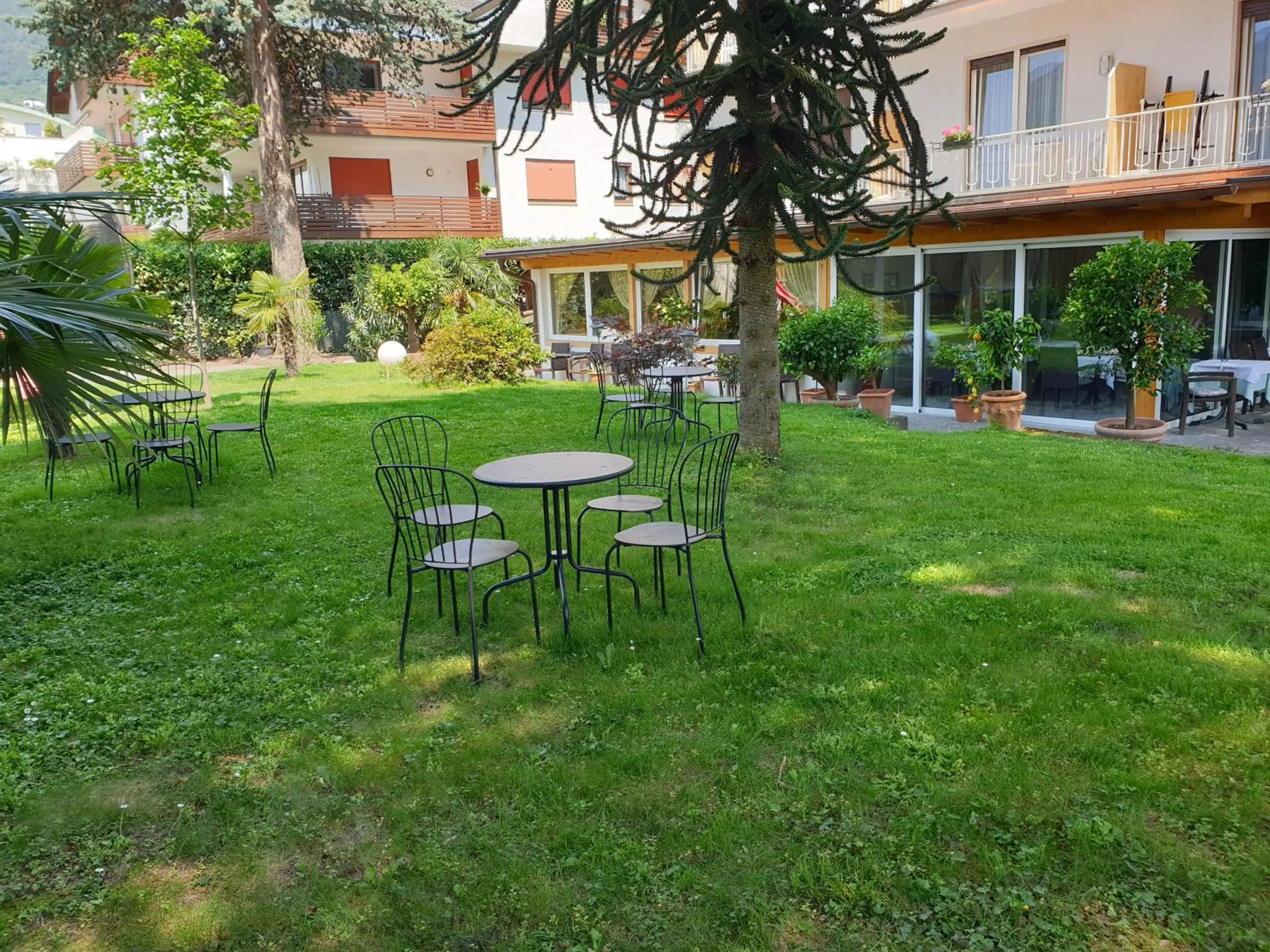 Garden in Hotel Jasmin