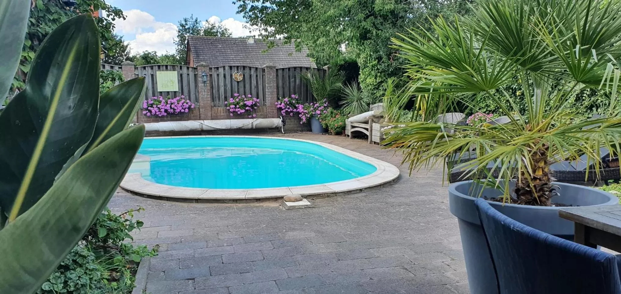 Swimming pool in B&B Knooppunt70