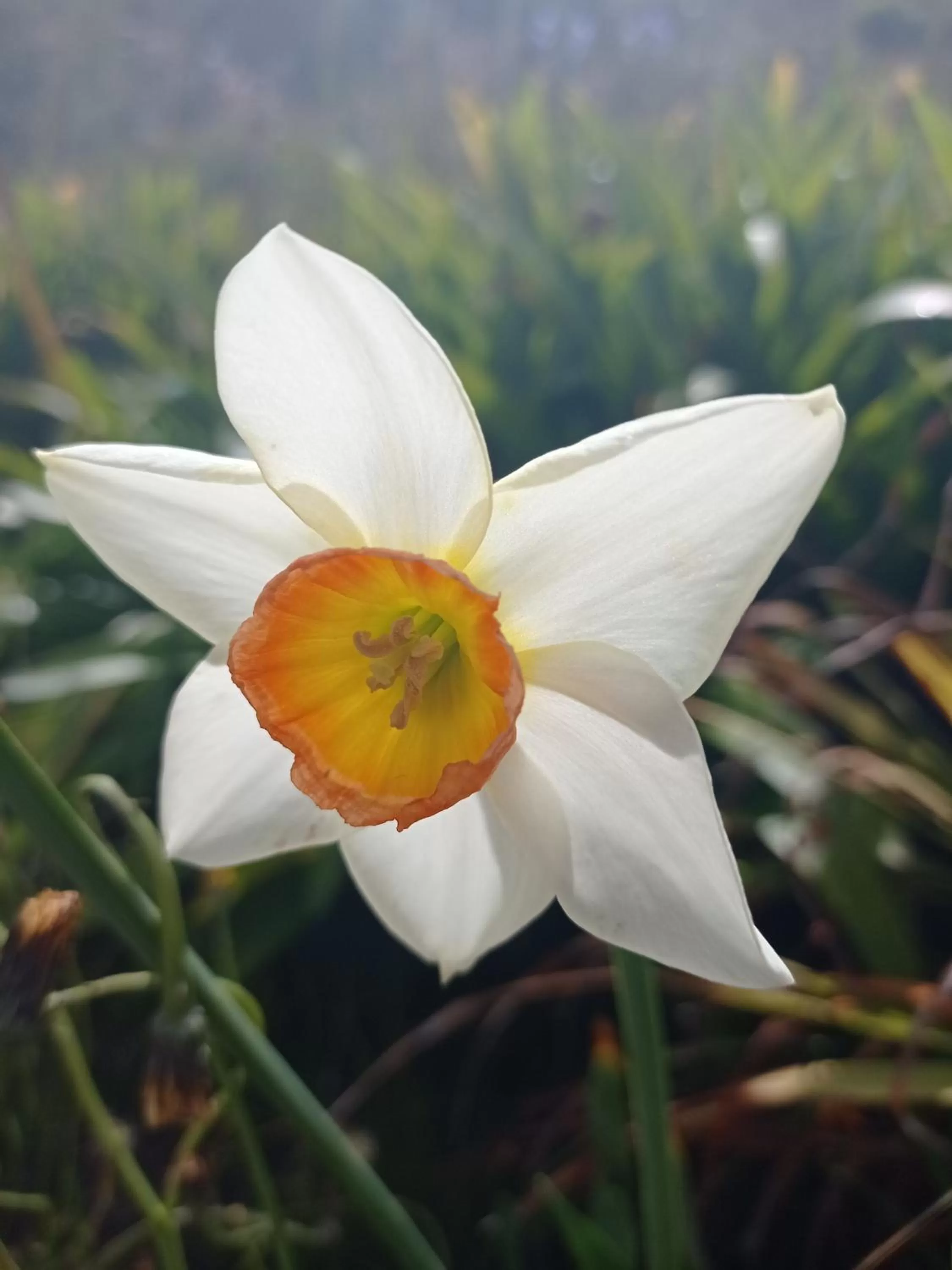 Hotel Refugio Pozo Azul