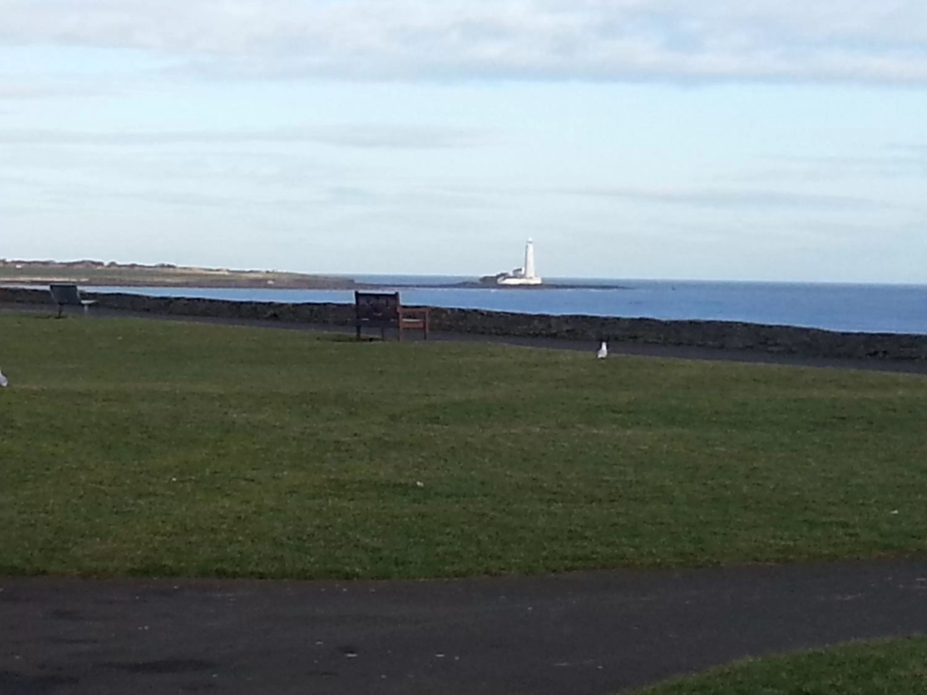 Natural landscape in The Windsor Hotel