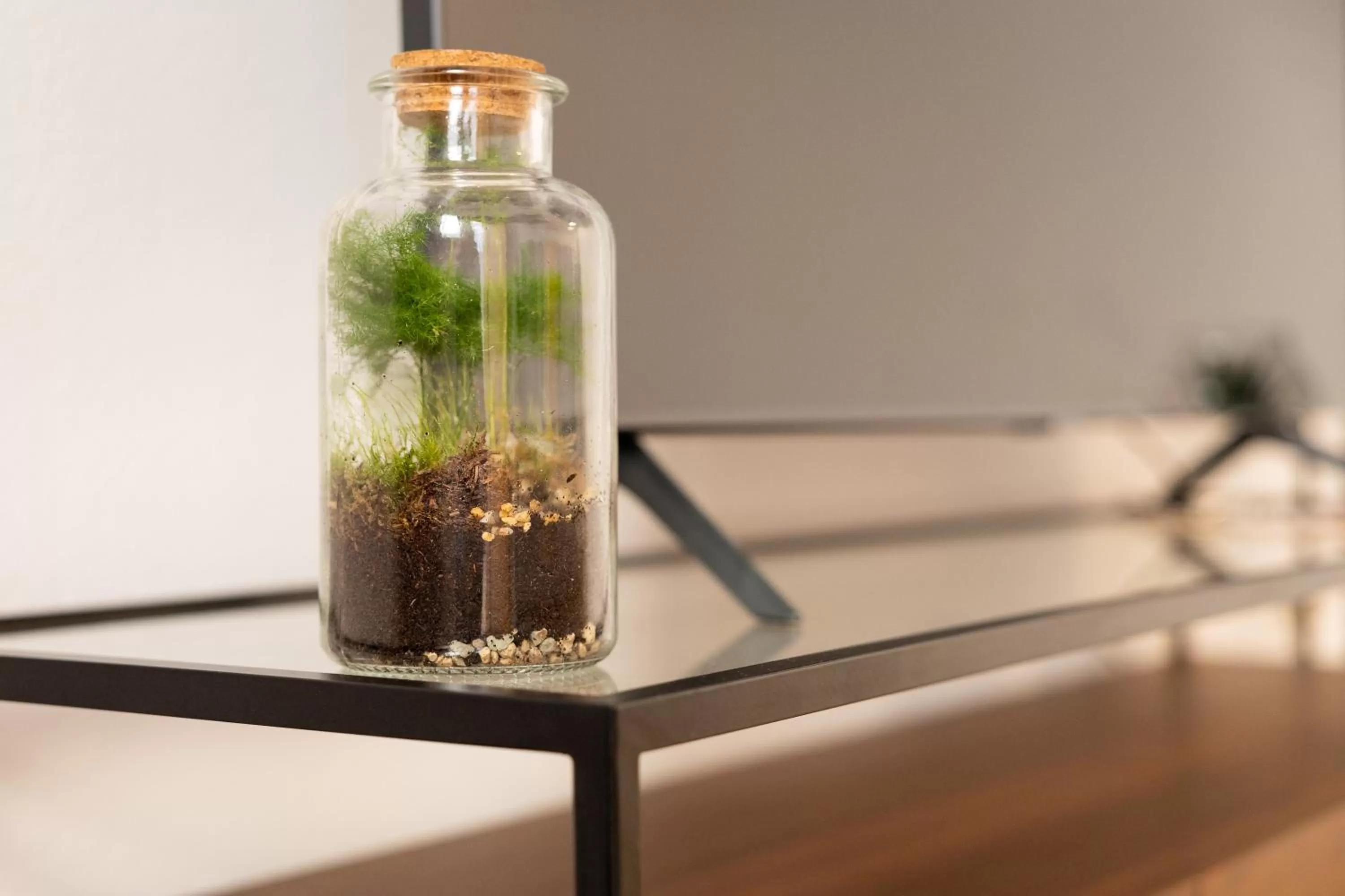 Decorative detail in Ko-Living Space an der Oper - Street Art Design Apartments