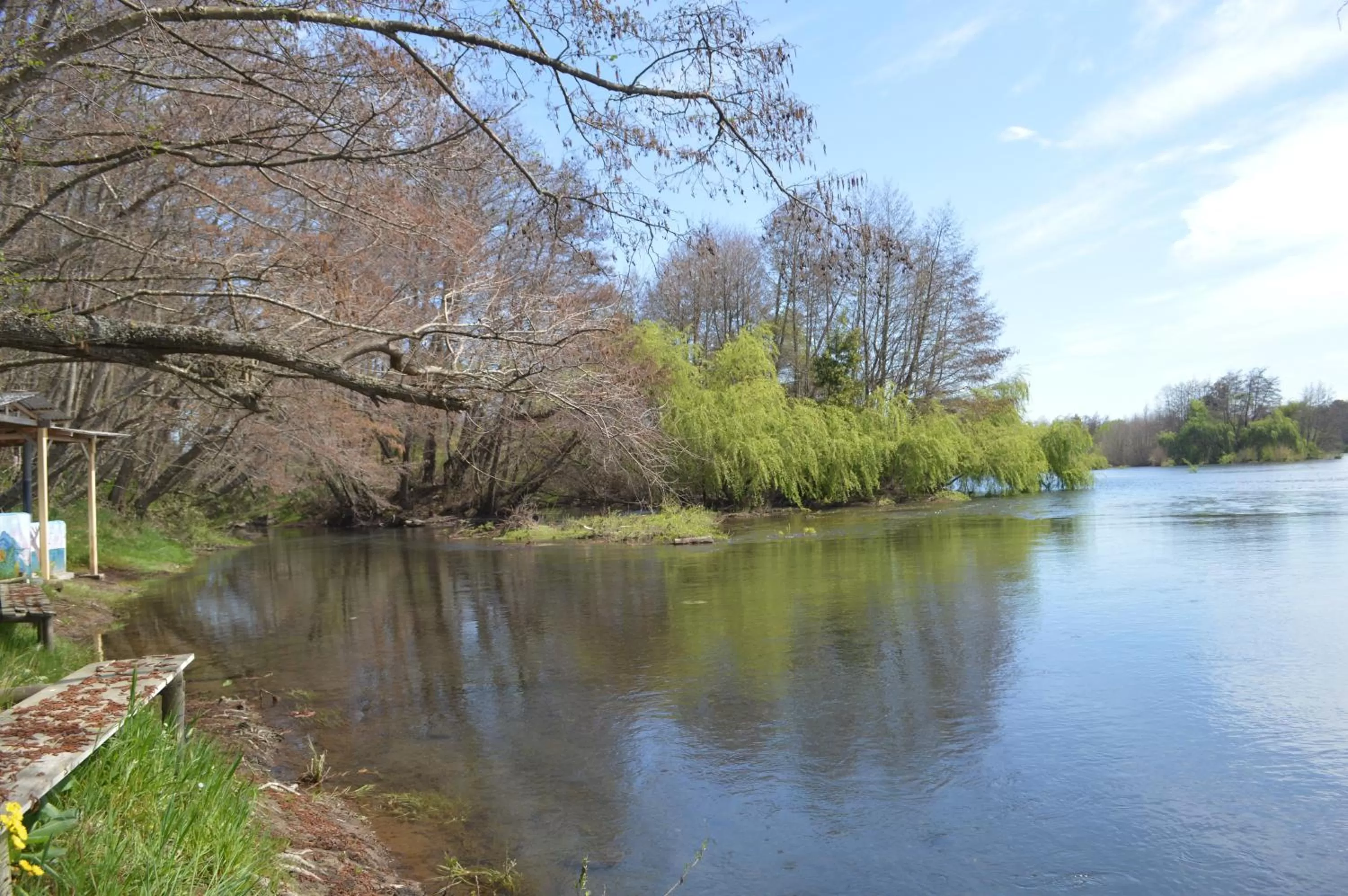 Natural Landscape in Coyunche Cabañas y Camping Laja & San Rosendo