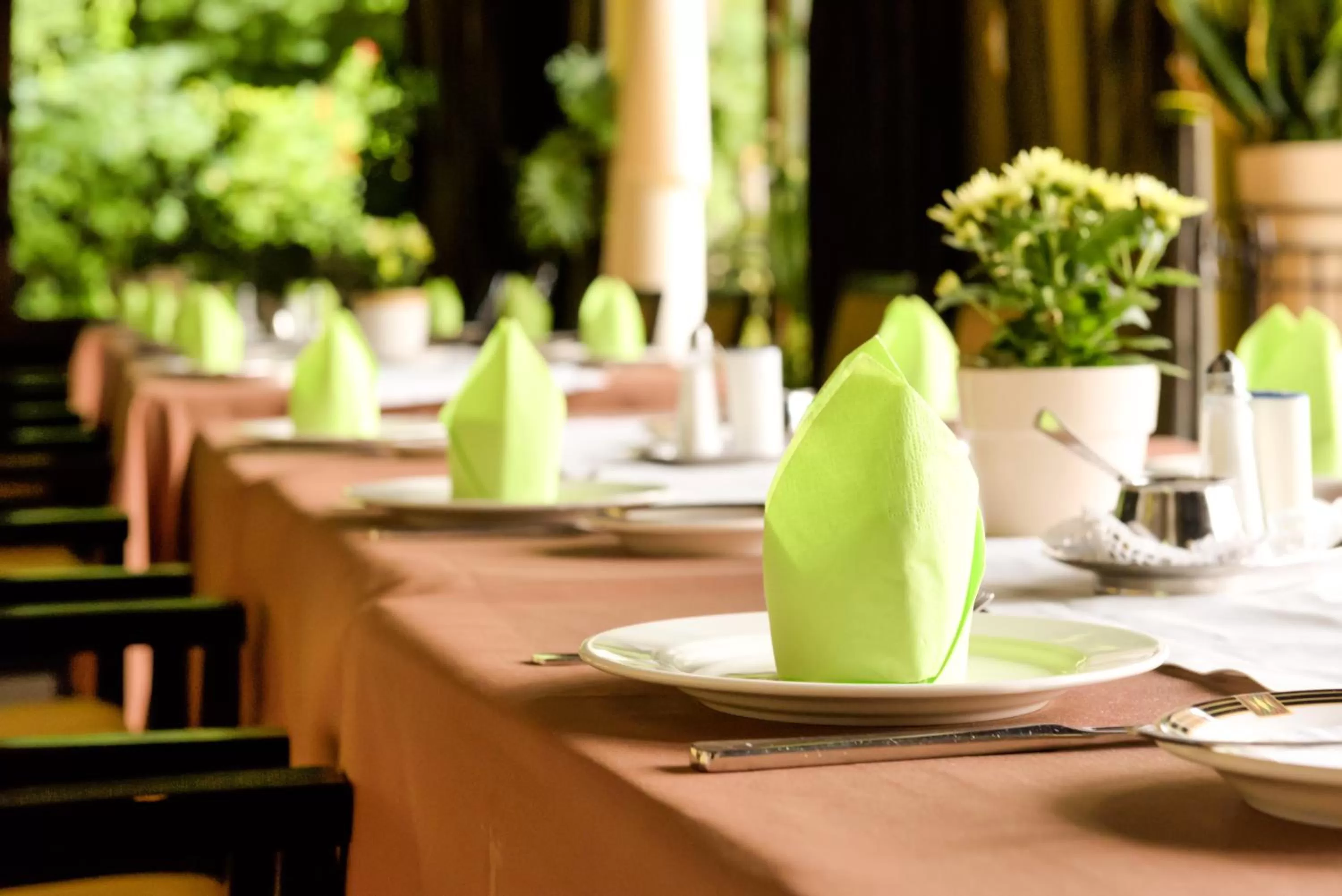 Food and drinks in Lindenhof Hotel Tepe