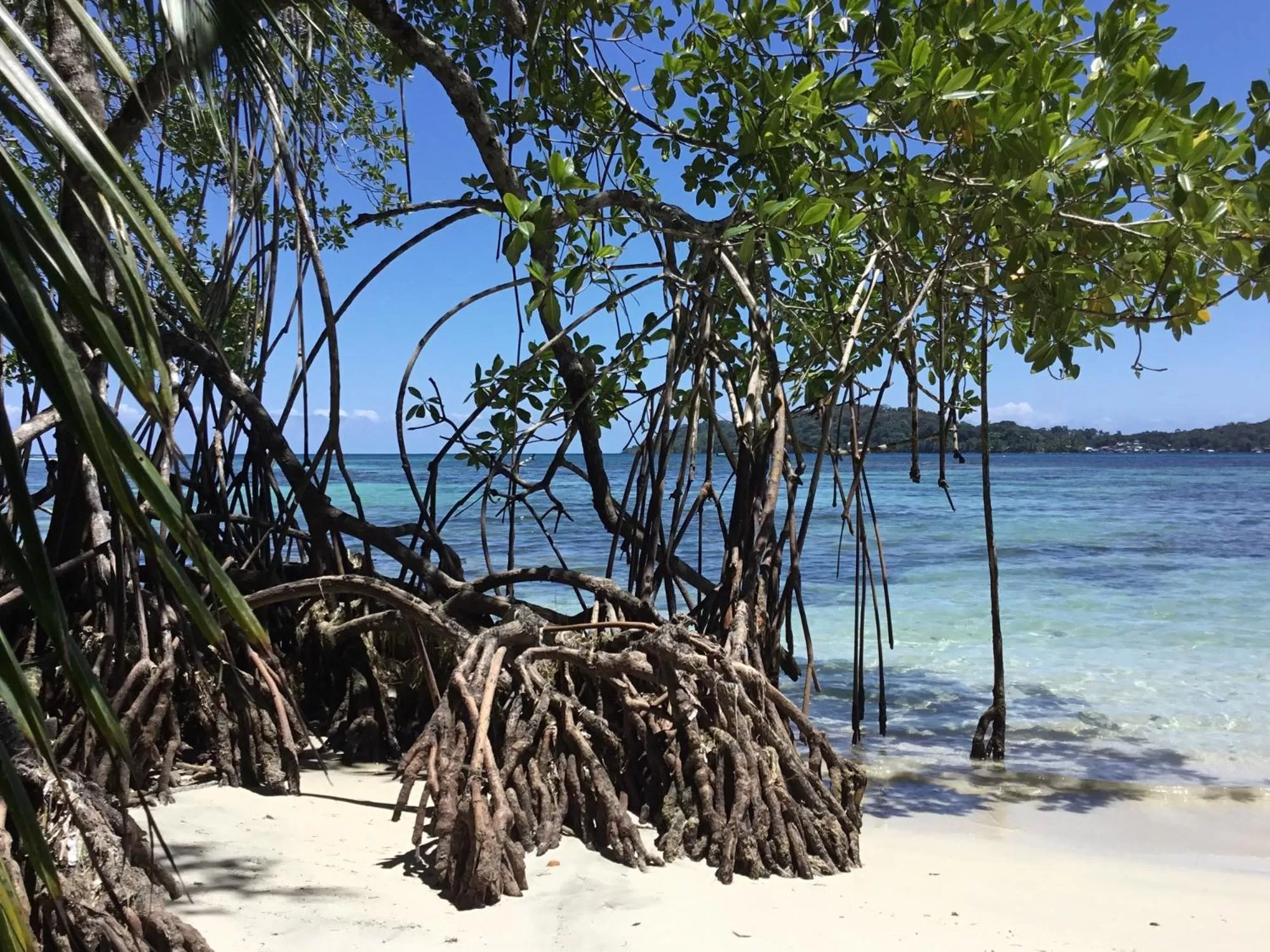 Natural landscape, Beach in RIVA B&B
