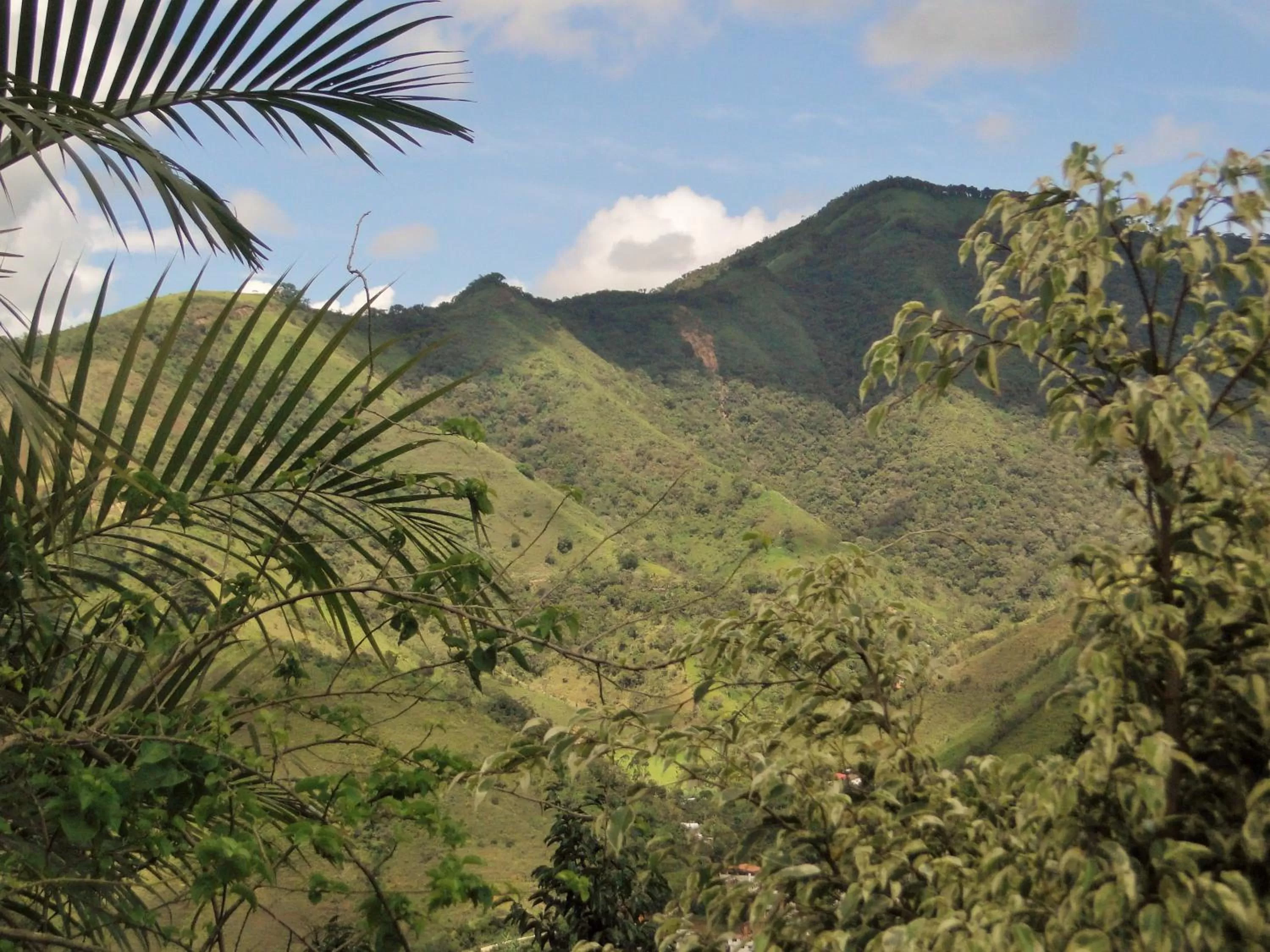 Natural Landscape in Hosteria Florecer