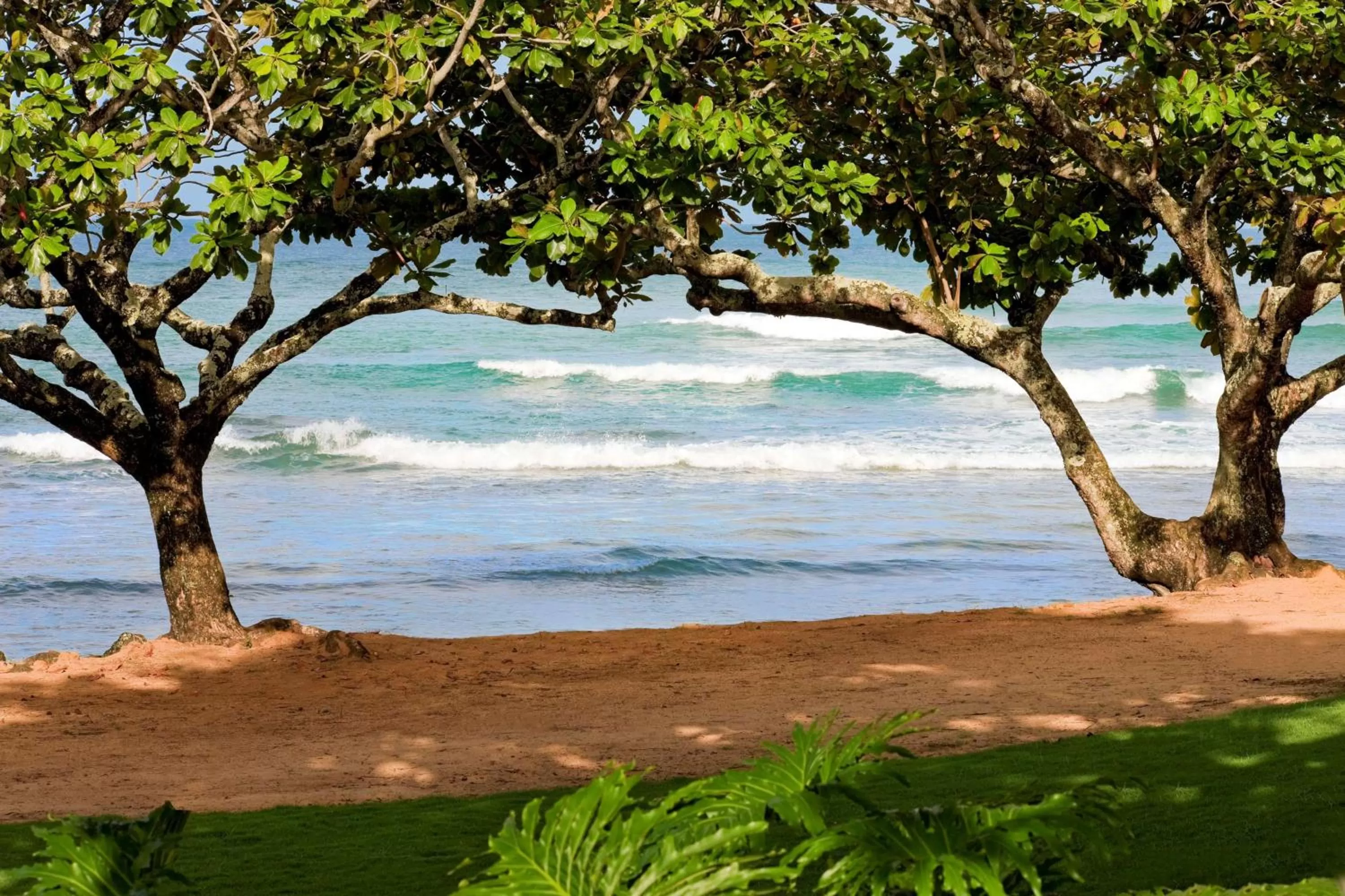 On site in 1 Hotel Hanalei Bay