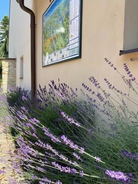 Hotel and restaurant Via Ironia