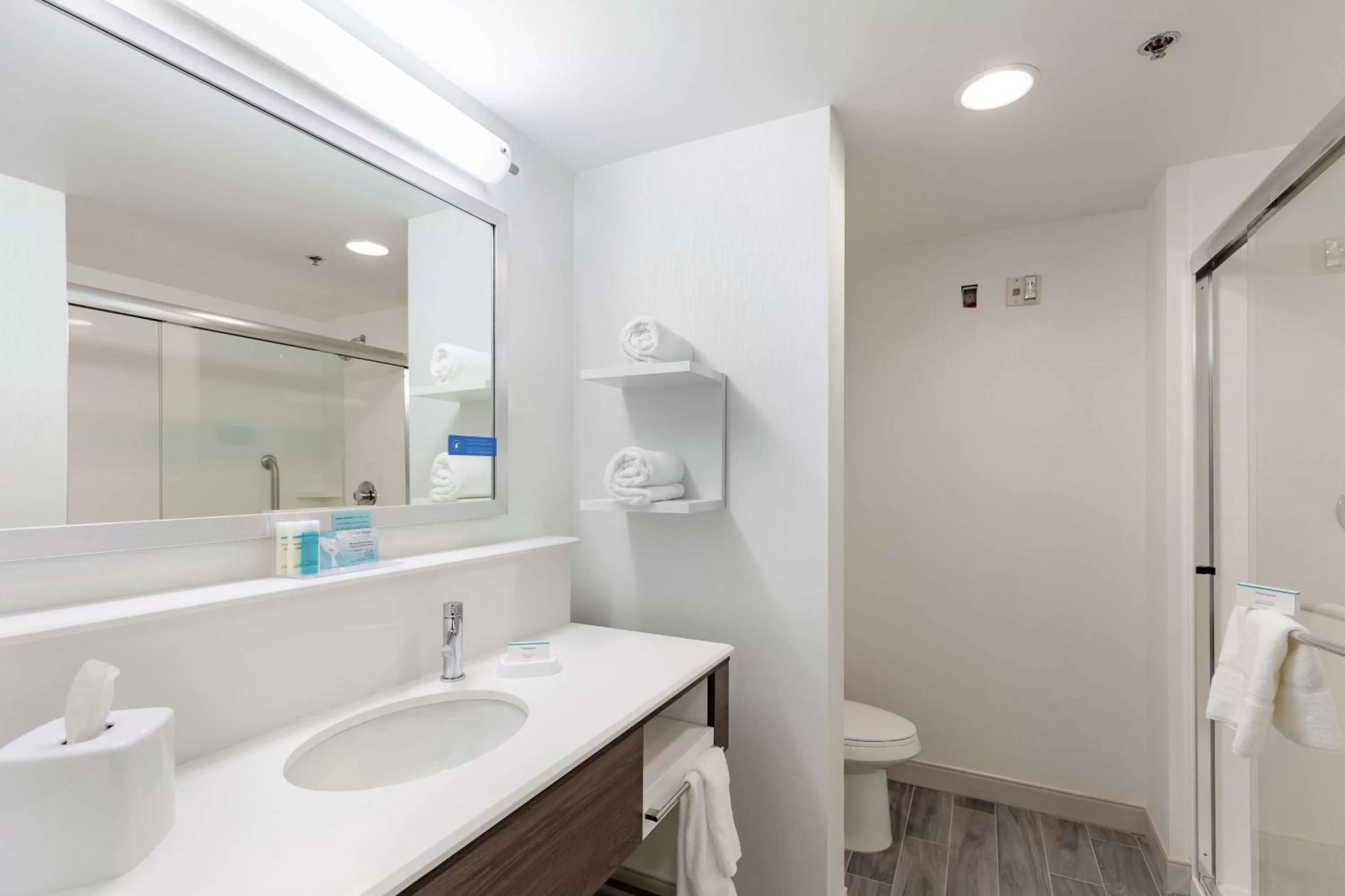 Bathroom in Hampton Inn Acworth